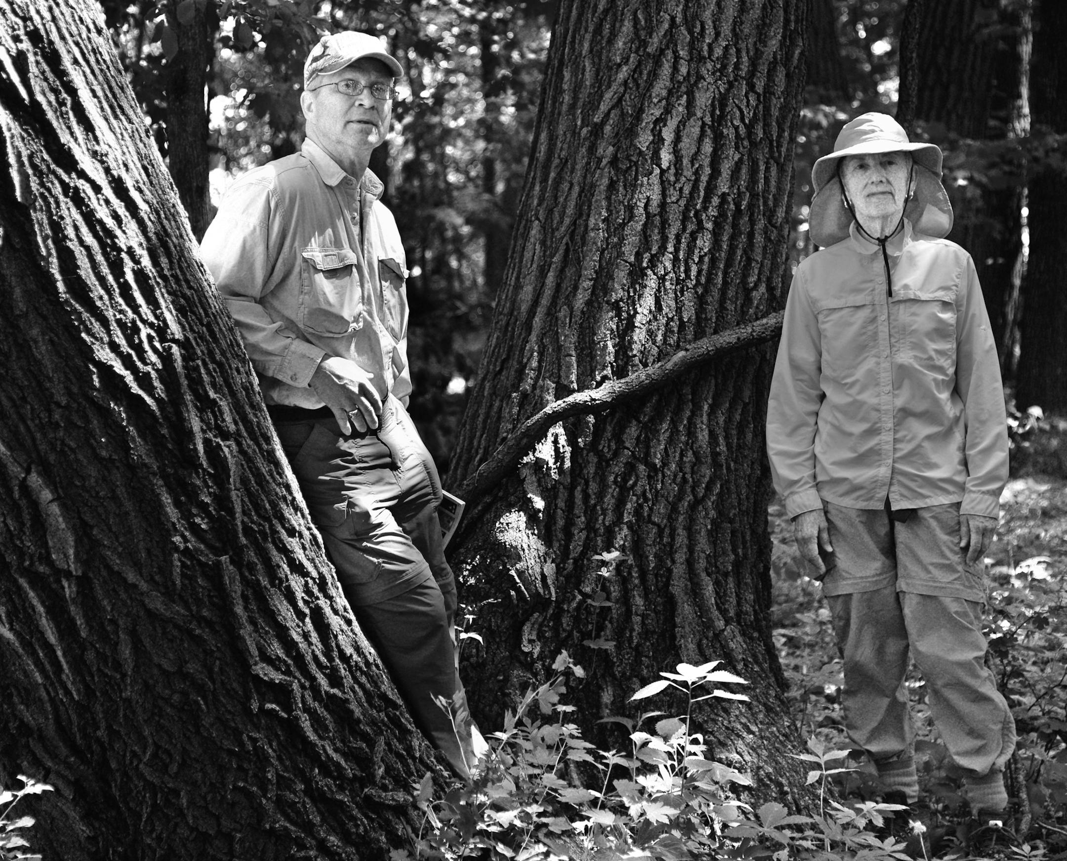 Former DNR executives Bob Djupstrom and Ellen Fuge were dwarfed by the size of a huge old growth Red Oak. ] Former DNR executives Bob Djupstrom and Ellen Fuge spent some time touring Townsend Woods, a state Scientific and Natural Area near Morristown, Minn. on Tuesday June 4 2014. Richard.Sennott@startribune.com Richard Sennott/Star Tribune Morristown Minn. Tuesday 6/3/2014) ** (cq) ORG XMIT: MIN1406041007180825 ORG XMIT: MIN1406181624340700