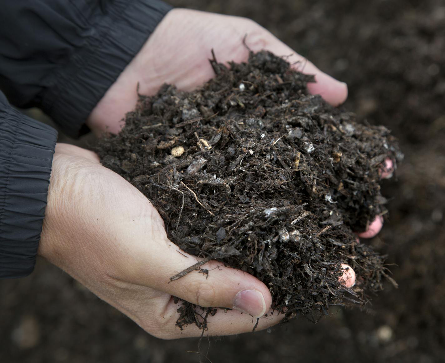 Compost community: Minneapolis followed several smaller cities in implementing a curbside organics program.