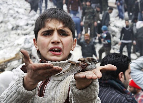 A Syrian boy holds a bird in his hand that he said was injured in a government airstrike hit the neighborhood of Ansari, in Aleppo, Syria.