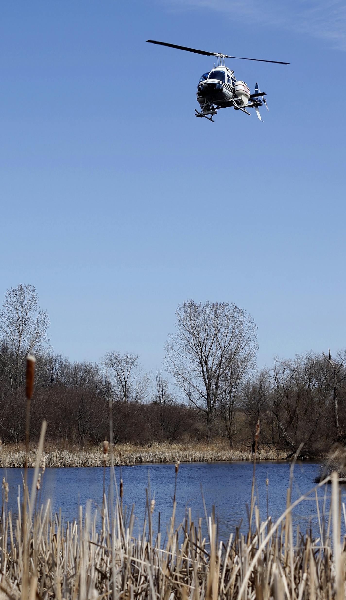 A helicopter from the Metro Mosquito Control District dropped anti-mosquitoes pellets over a wetland area near 494 and Dodd road Tuesday April 22 , 2014 in Egan MN. ] JERRY HOLT jerry.holt@startribune.com