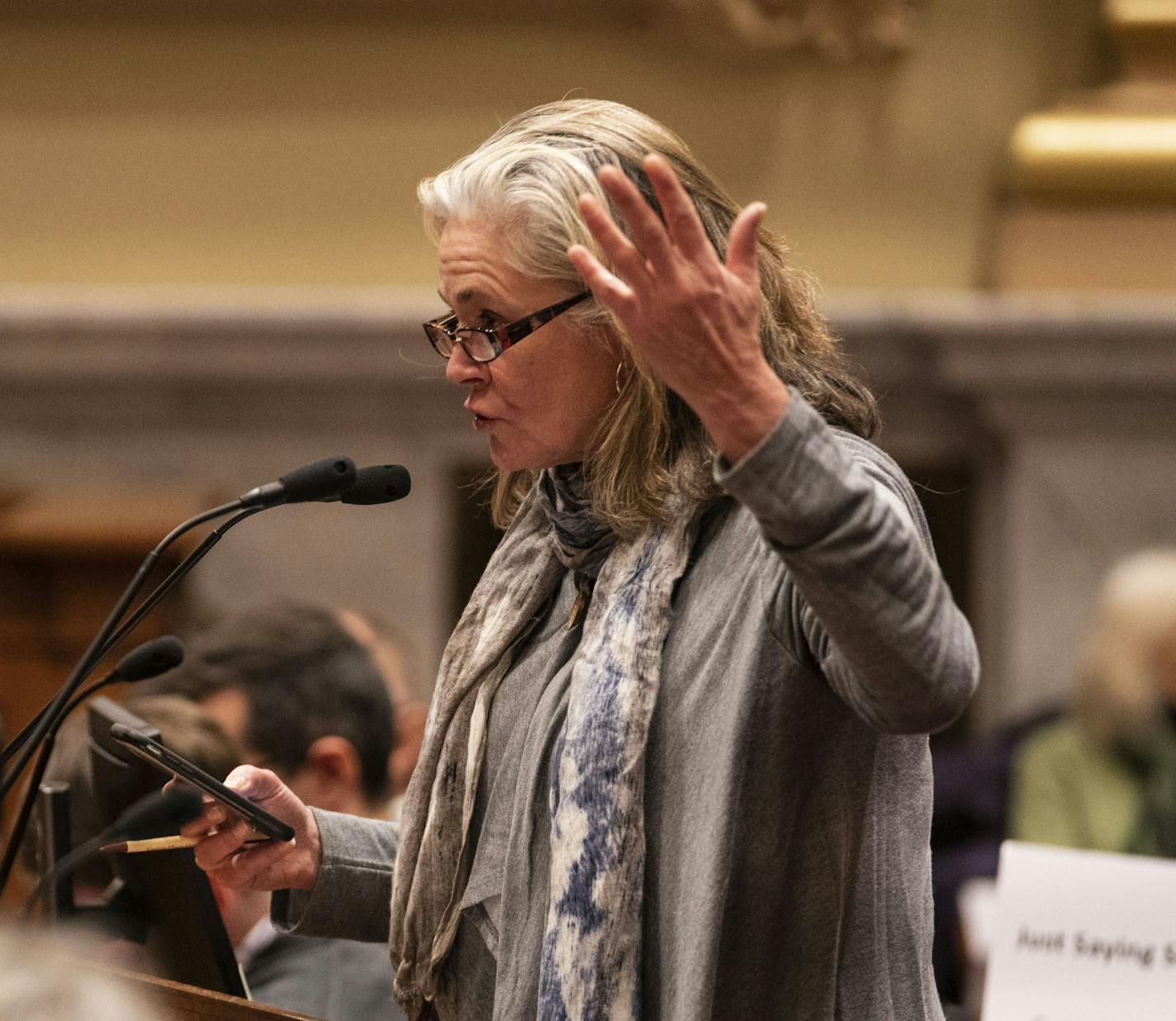 Ellen Olmscheid spoke in opposition of the 2040 Comprehensive Plan, even calling out a council member for tweeting about the opponents insensitively the during a public hearing on the at City Hall in Minneapolis, Minn., on Wednesday, November 14, 2018. ] RENEE JONES SCHNEIDER &#x2022; renee.jones@startribune.com