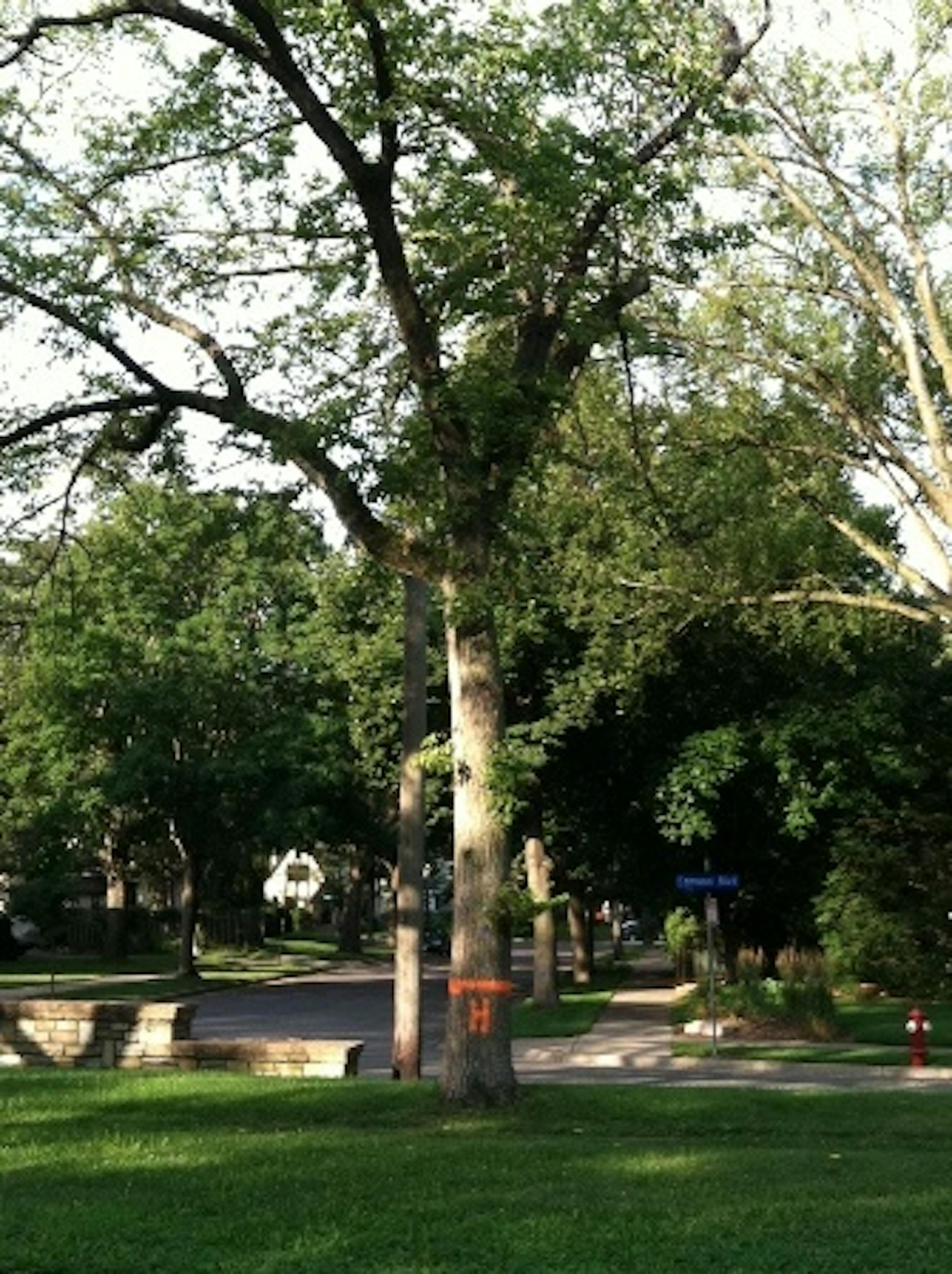 Edmund Boulevard at 37th Street