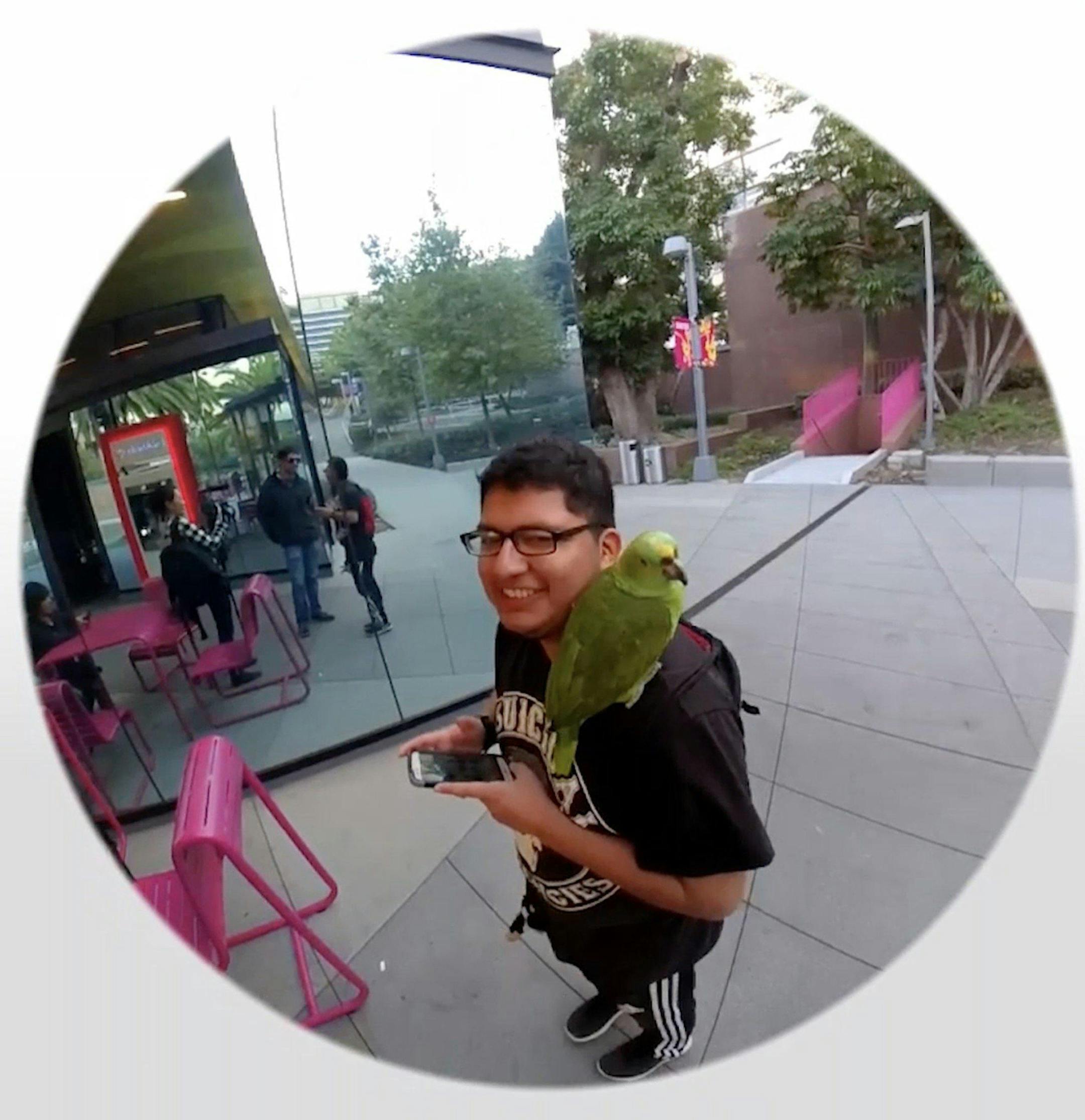 A screen grab from downtown Los Angeles on Dec. 13, 2016 taken with Snapchat Spectacles -- the debut camera from Los Angeles start-up Snap Inc. The glasses record 10-second video from your perspective and then allow users to relive it later in Snapchat. (Paresh Dave/Los Angeles Times/TNS) ORG XMIT: 1195306
