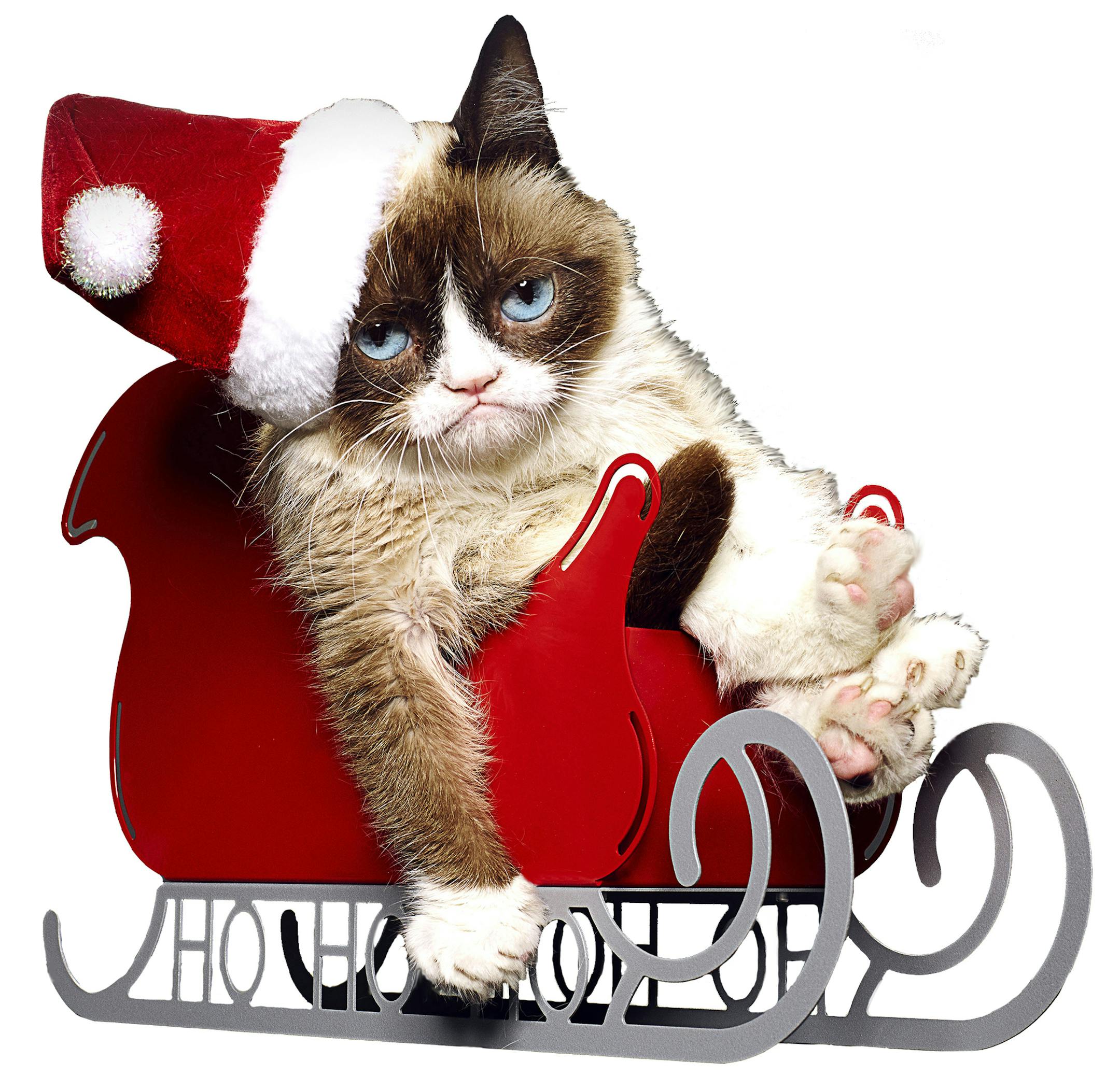 Grump Cat stars in Lifetime all-new Original Movie, "Grumpy Cat‚Äôs Worst Christmas Ever." Photo by Courtesy of Lifetime Copyright 2014 ORG XMIT: MIN1411241012360792