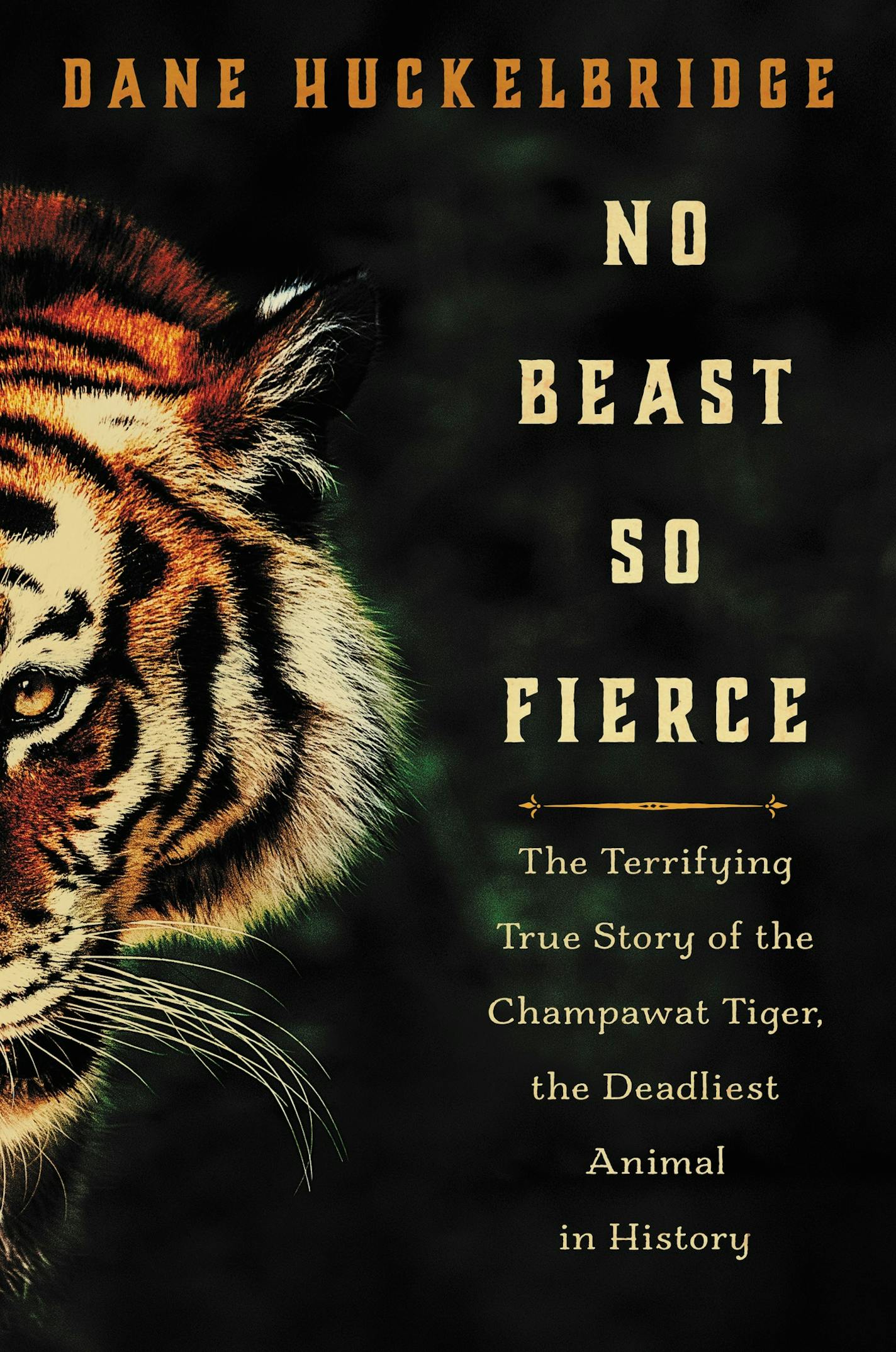 No Beast So Fierce, by Dane Huckelbridge