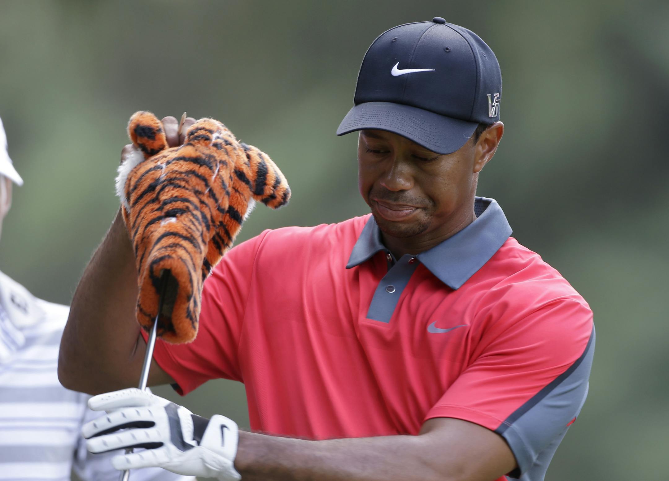 Tiger Woods takes the driver from his bag on the eighth hole during the final round of the PGA Championship golf tournament at Oak Hill Country Club, Sunday, Aug. 11, 2013, in Pittsford, N.Y. (AP Photo/Julio Cortez)
