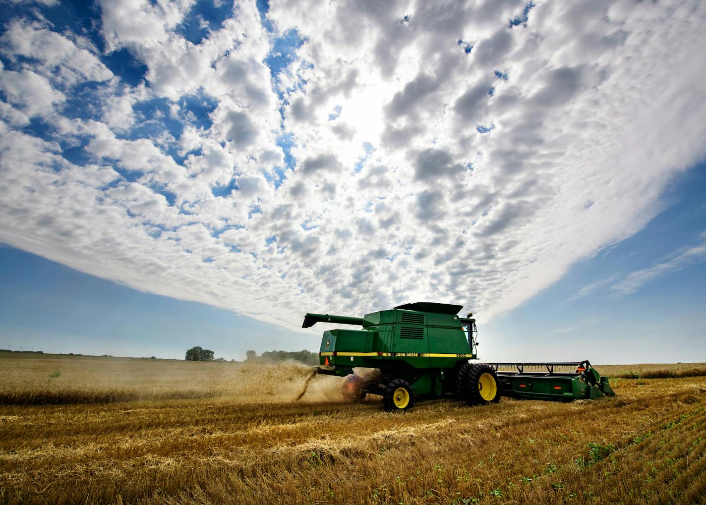 Jack Weber drove his wheat combine on his field. The wheat doesn't bring much cash but it does improve the health of his soil. ] GLEN STUBBE ¥ glen.stubbe@startribune.com Wednesday, August 23, 2017 Trip to western Minnesota with Glen Stubbe to interview, photograph and film the harvesting of wheat at Jack Weber's farm. Wheat doesn't make him money but it does improve the health of his soil. This crop rotation is one of several steps Weber uses to make the land better and is in line with what Gen