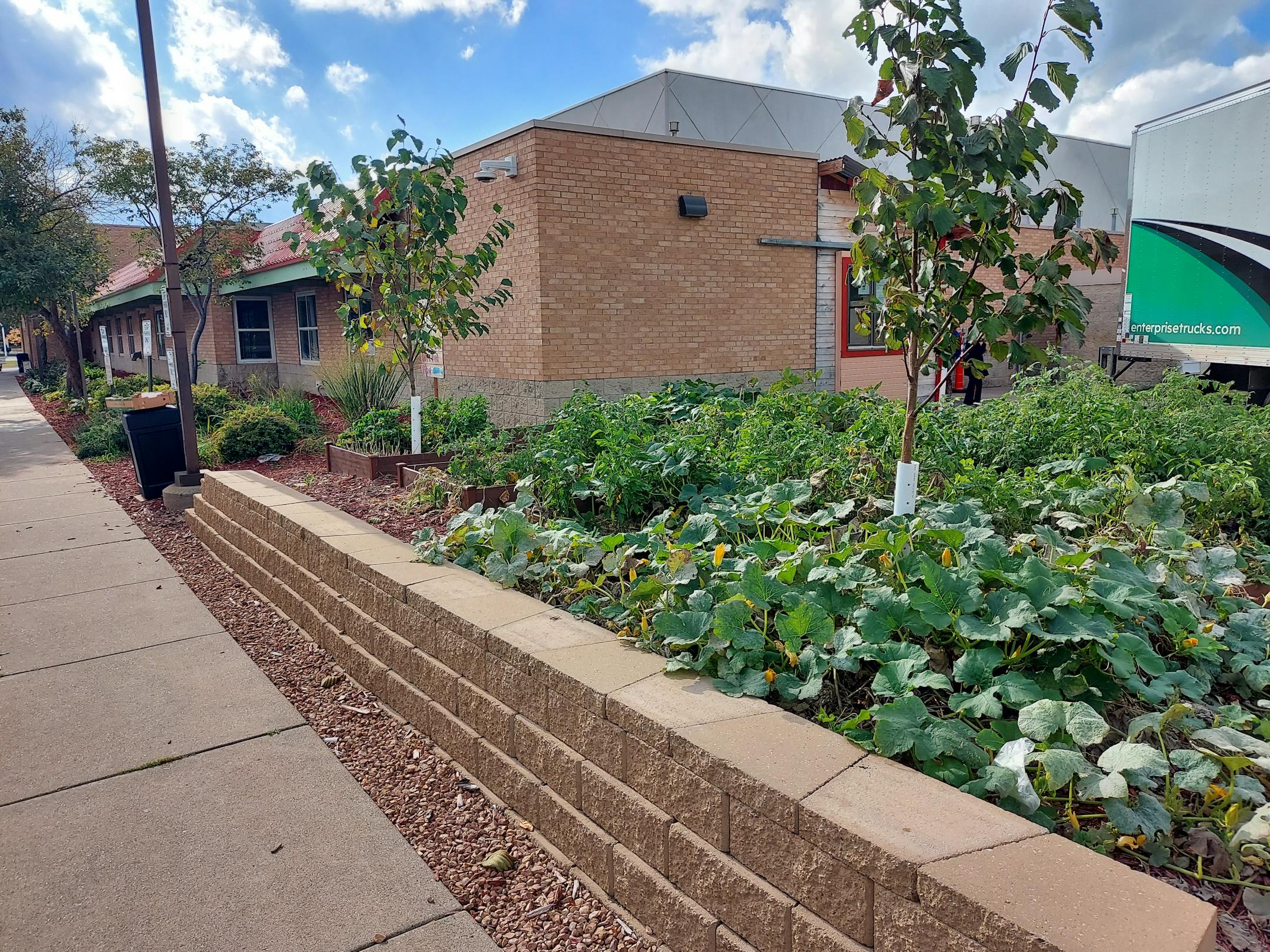 Ground Work's community food garden and newly built retaining wall.