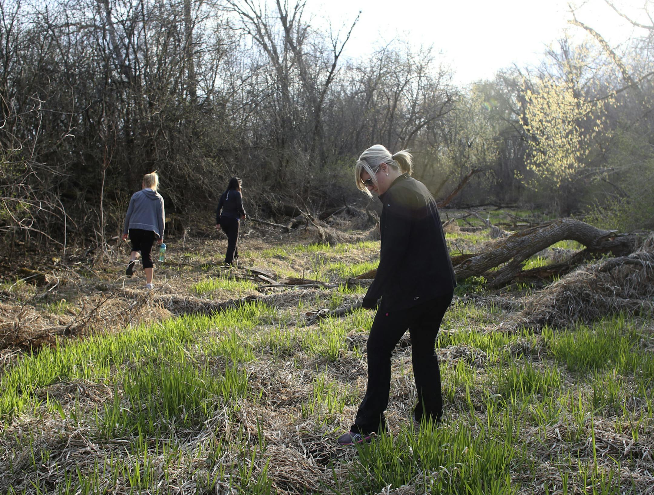 Kristy Kosek of Eden Prairie looked on the ground as she and a group of volunteers searched a trail area near Flying Cloud Rd. and Bluff Creek Rd. for Mandy Matula's remains or clues.