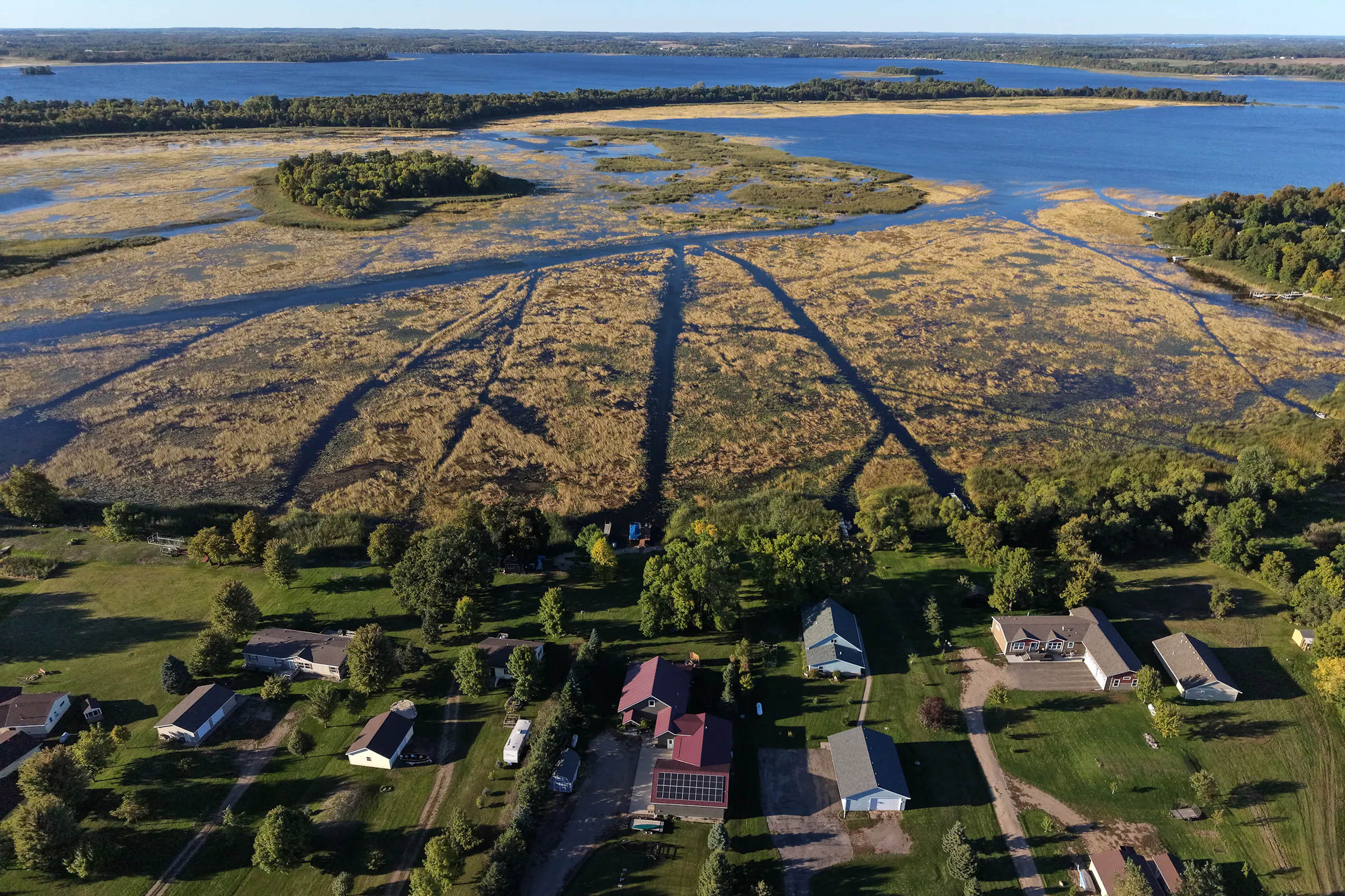 It's illegal to destroy wild rice in Minnesota. Unless you have a permit.