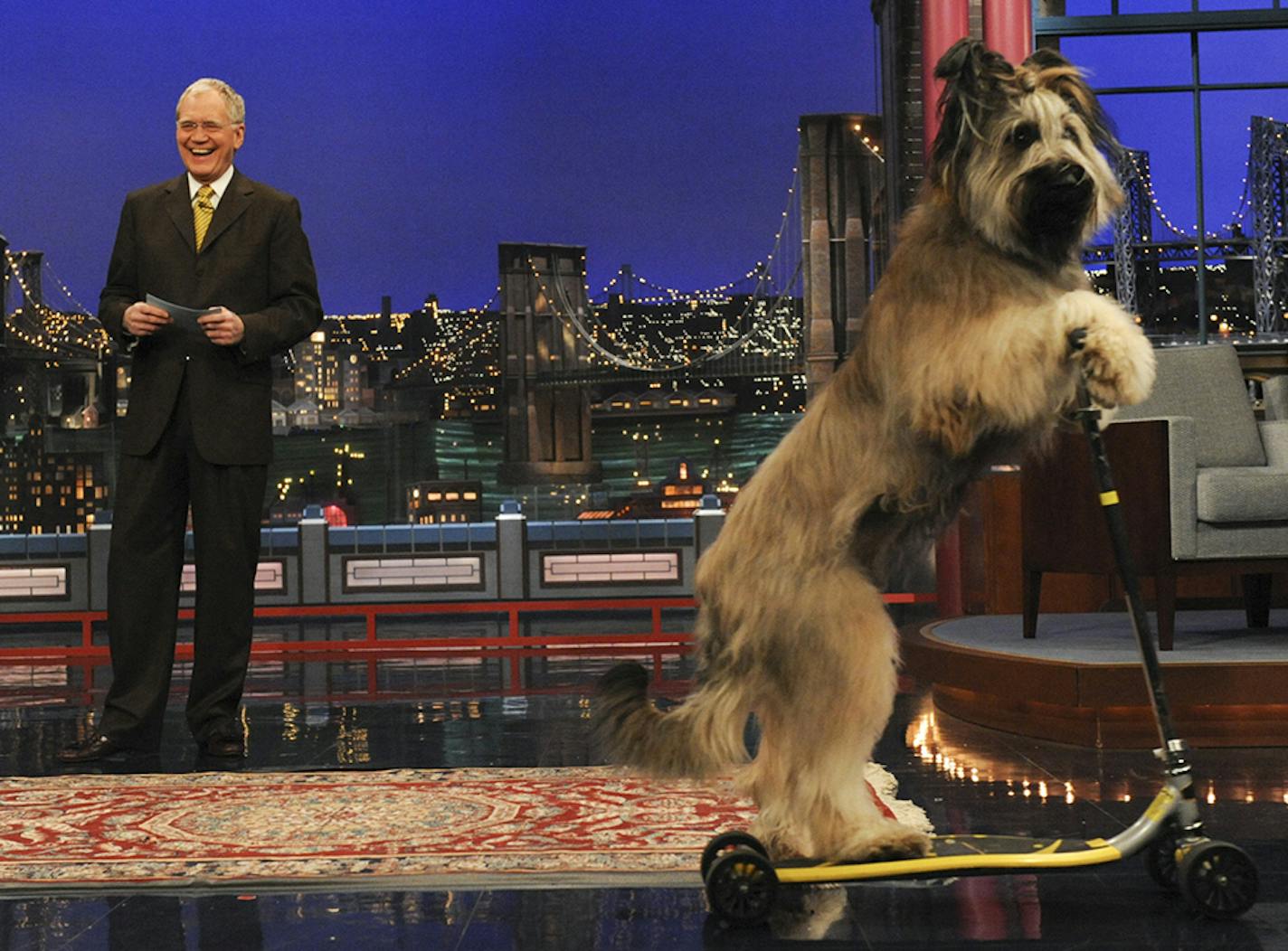 Stupid pet tricks with on the Late Show with David Letterman, Thursday Feb. 24, 2011 on the CBS Television Network. This photo is provided by CBS from the Late Show with David Letterman photo archive. Photo: Heather Wines/CBS &#x221a;?&#xac;&#xa9;2011 CBS Broadcasting Inc. All Rights Reserved.