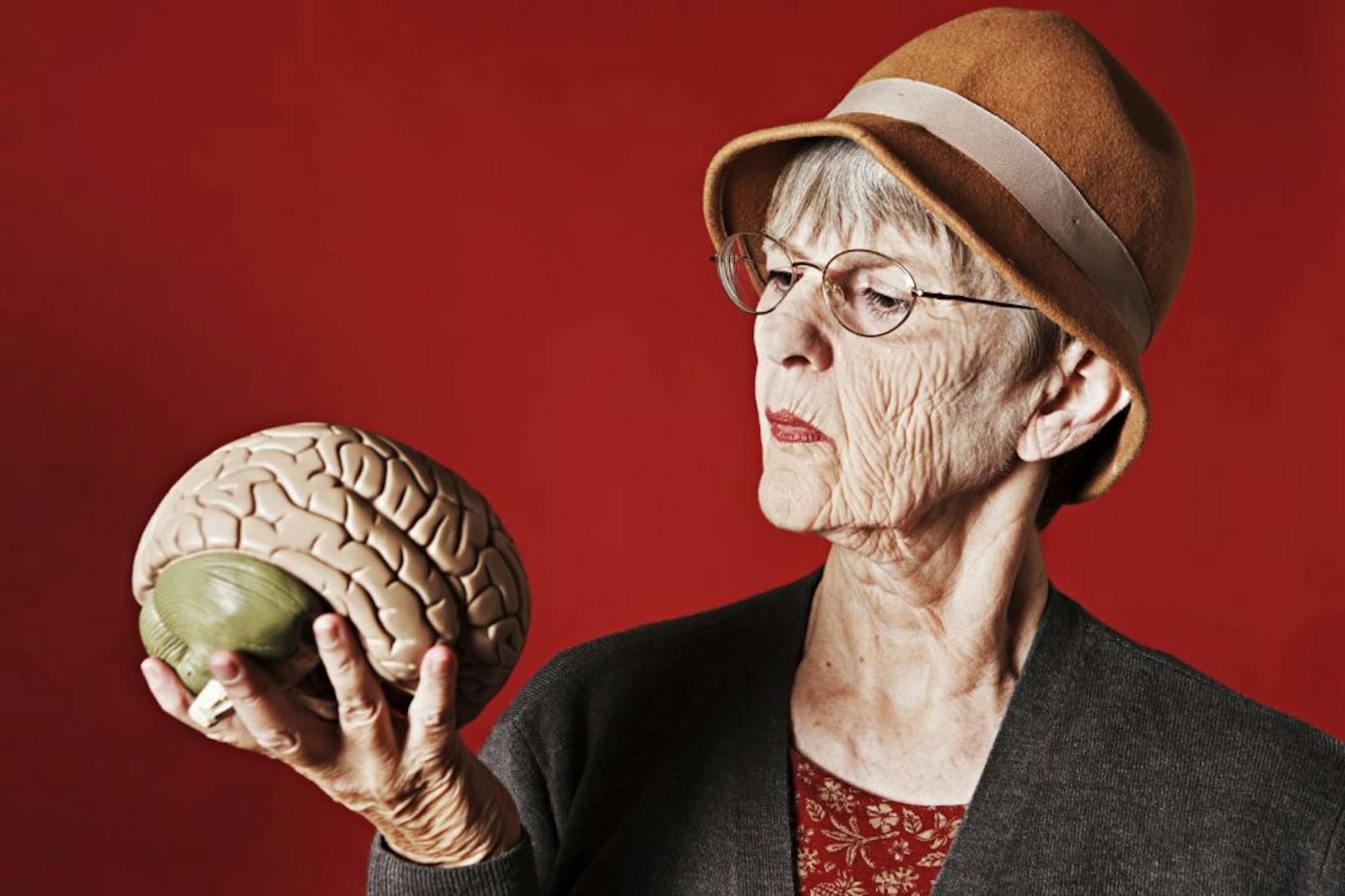 credit: istock older woman looks at model of human brain