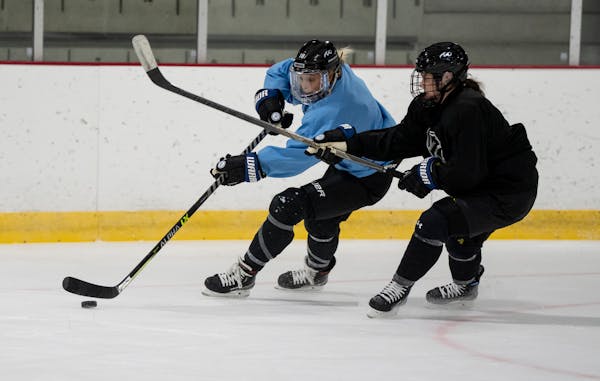 Minnesota Whitecaps ready for a new season in a new home