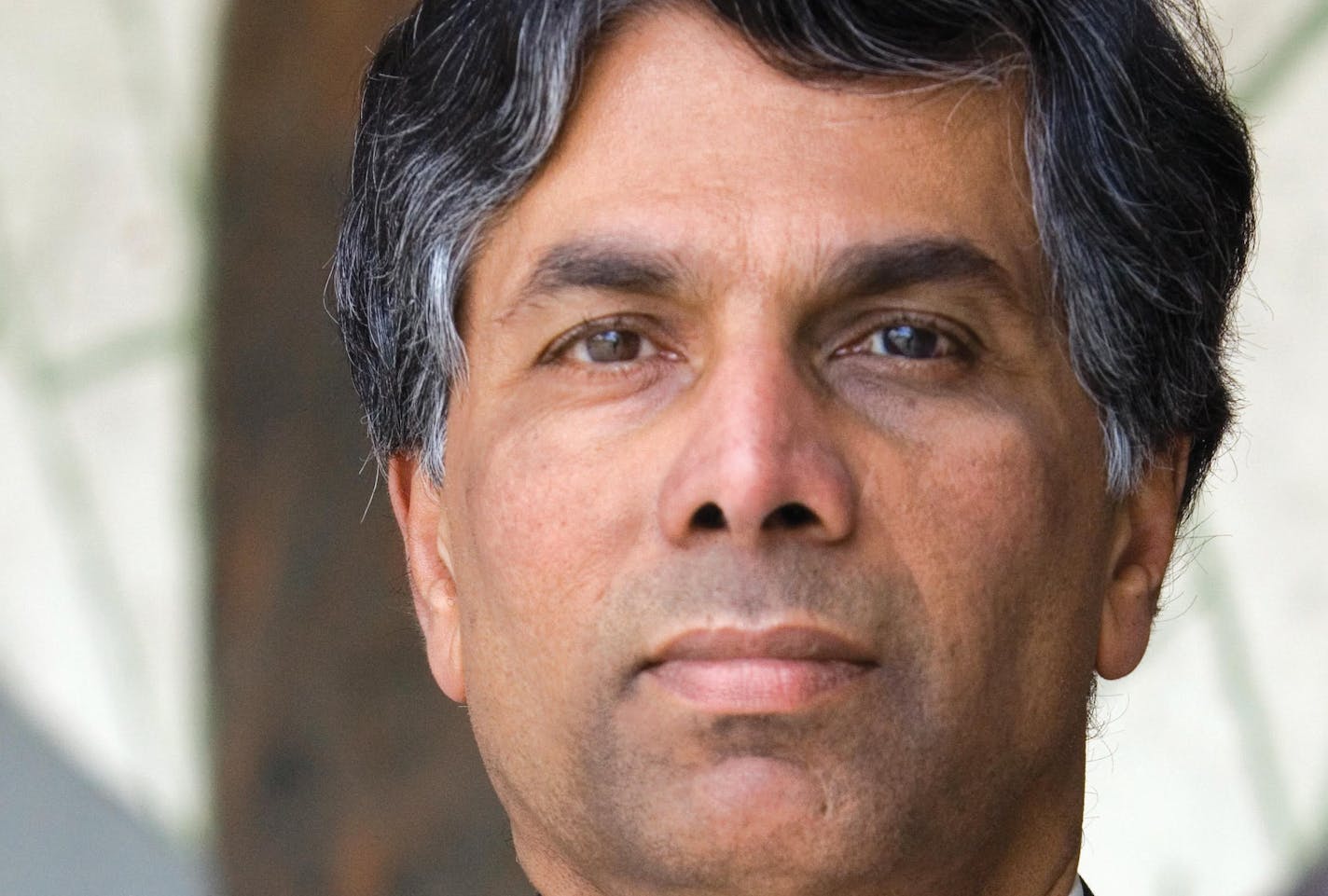 Dileep Rao financed the growth of more than 450 companies and real estate projects in more than two decades as a financier. In his newly published book &#xec;Nothing Ventured, Everything Gained,&#xee; however, Rao sets out to demolish the &#xec;dominant myth&#xee; that building a giant company requires early stage venture capital.