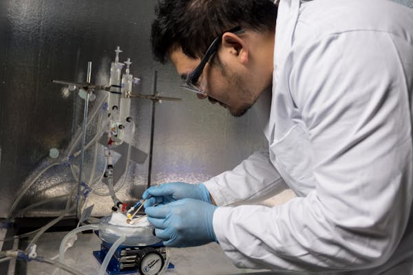 University of Minnesota mechanical engineering postdoctoral researcher Zonghu Han demonstrated how rat kidneys can be cryogenically stored for up to 1