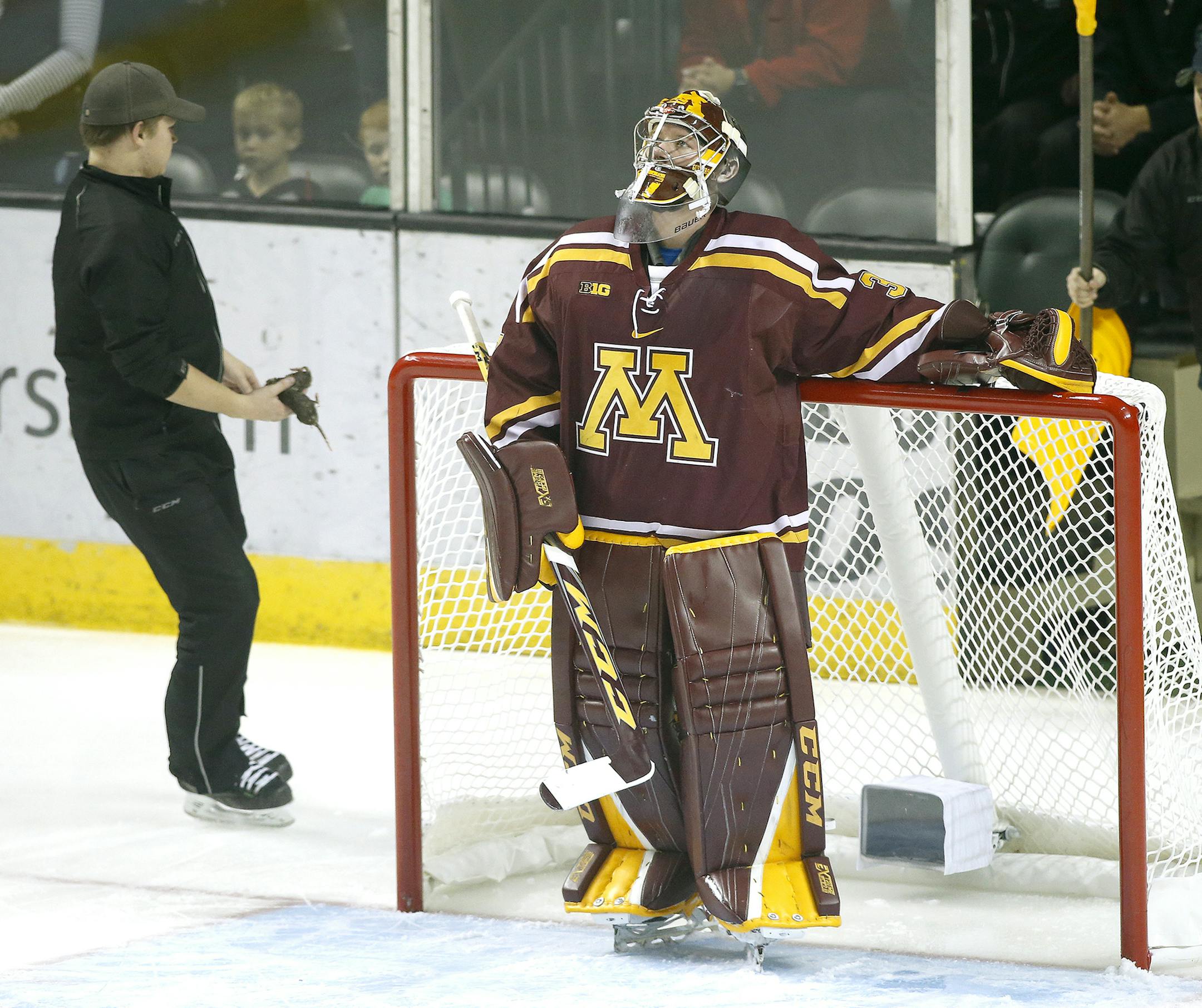 Minnesota goalie Eric Schierhorn looks at the scoreboard while Ralph Engelstad Arena personnel pick up three dead gophers that were tossed on the ice after North Dakota scored the first goal of the game Saturday in Grand Forks. photo by Eric Hylden/Grand Forks Herald