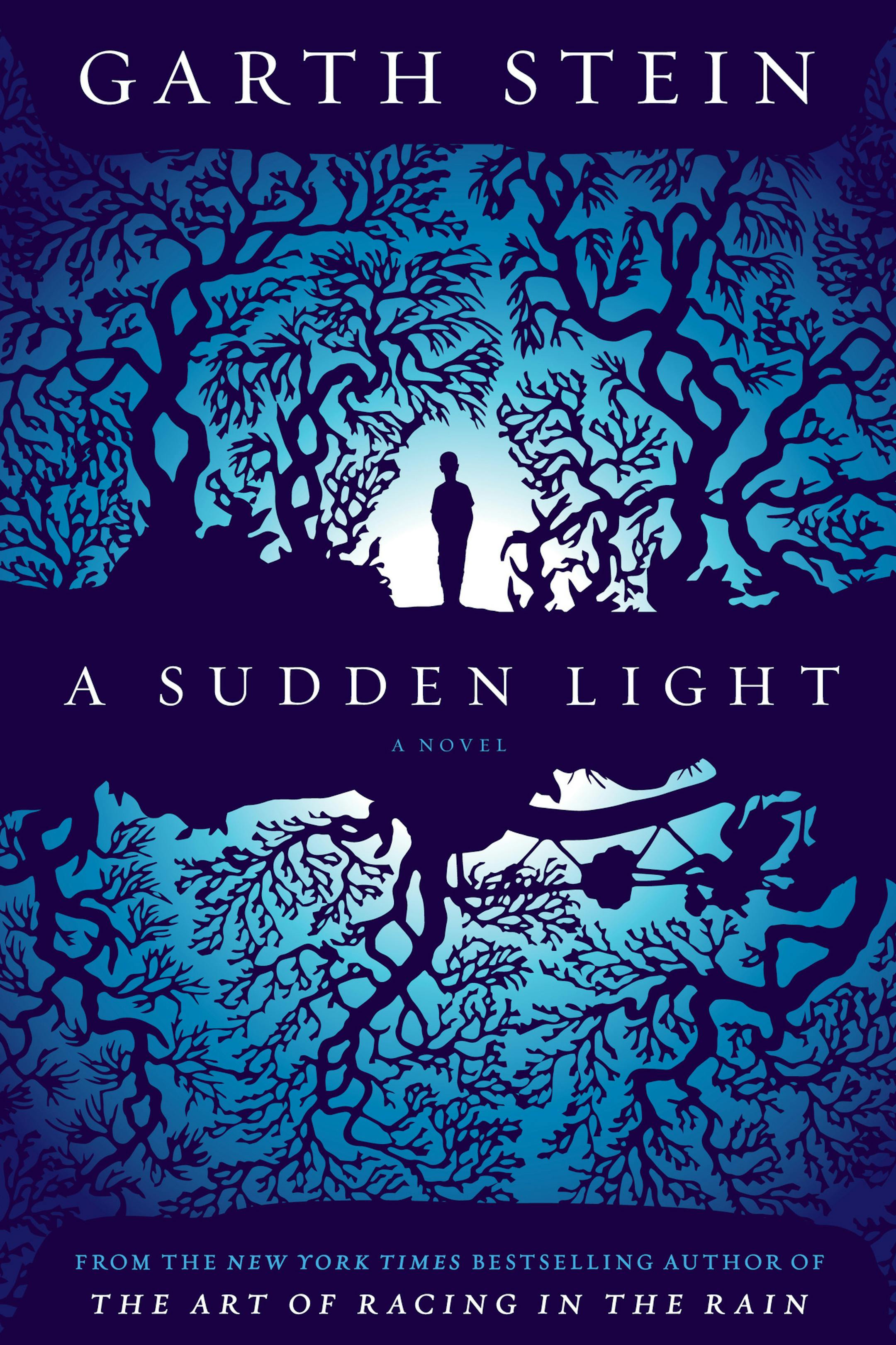 "A Sudden Light," by Garth Stein