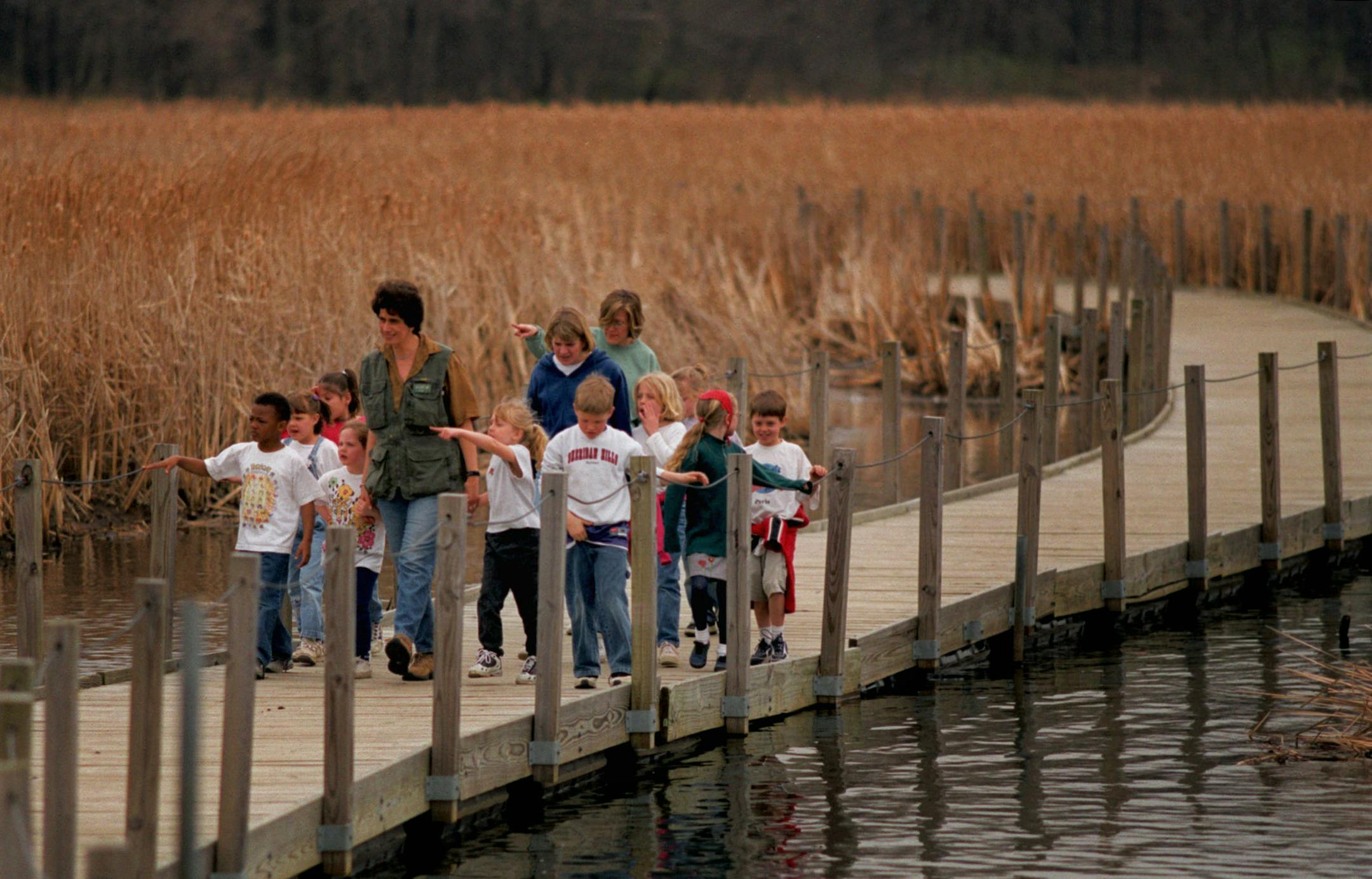 FREETIME: A little nature without leaving the area around the Twin Cities. -- Wood Lake Naturalist, Karen Shragg, leads group of 1st grader from the Sheridan Hills Elementary School throught he marsh on the Floating Board walk. The group was on a field trip to the center last Friday. ORG XMIT: MIN2013041115002004
