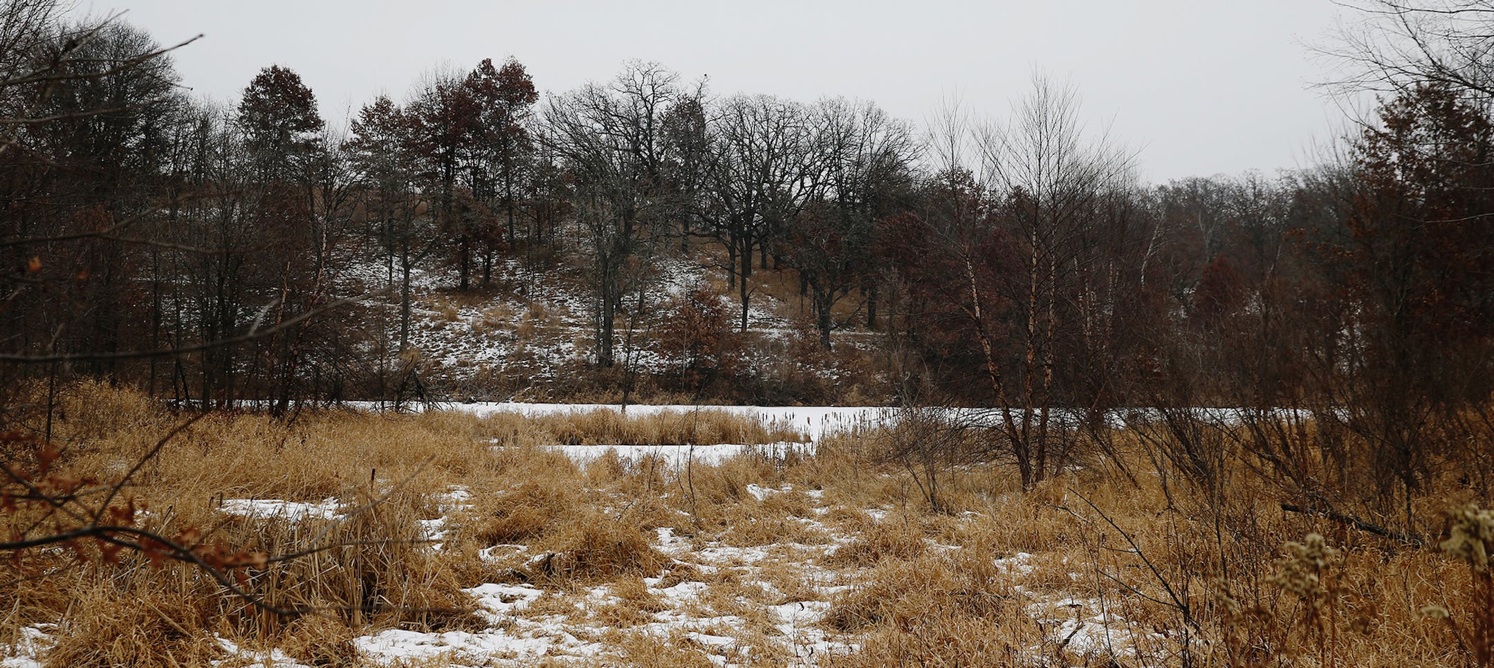 The convenient wilderness of the 2,000-acre Lebanon Hills Regional Park is beloved by visitors, many of whom fear Dakota County's new plan for the park focuses too much on development and too little on preservation. .]Richard Tsong-Taatarii/ rtsong- taatarii@startribune.com ORG XMIT: MIN1412091538370375