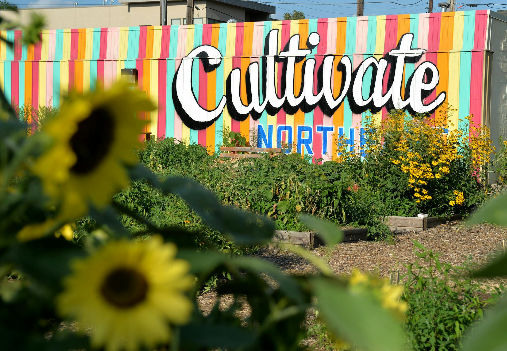 The community garden in Northeast Minneapolis is one of over 200 city wide.