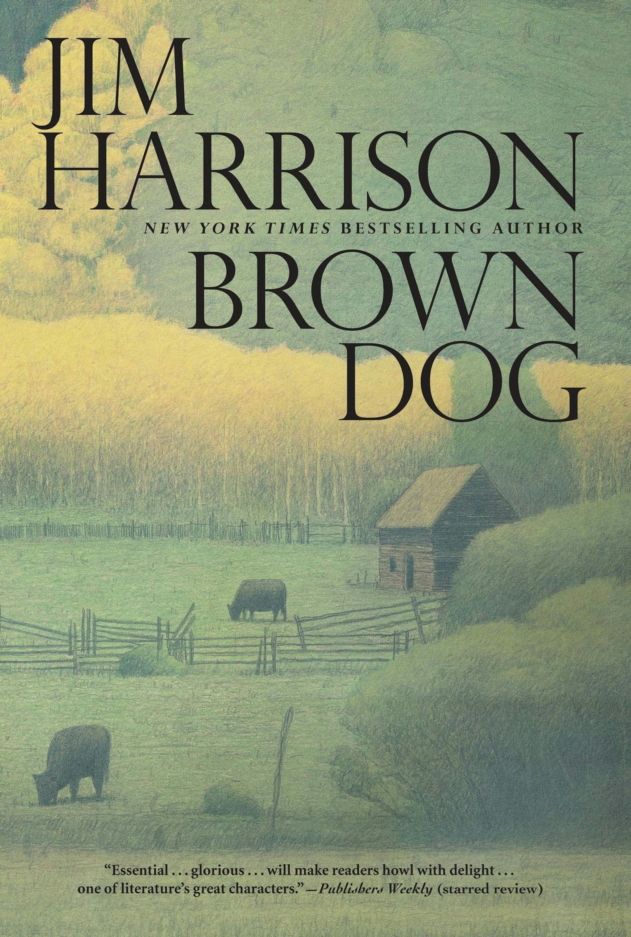 Jim Harrison introduced the character Brown Dog in his 1990 book "The Woman Lit by Fireflies," a collection of novellas. The novella is a favored form of his and it seems ideally suited to the misadventures of this shambling savant, a middle-aged half-breed from Michigan's Upper Peninsula. (MCT) ORG XMIT: 1146556