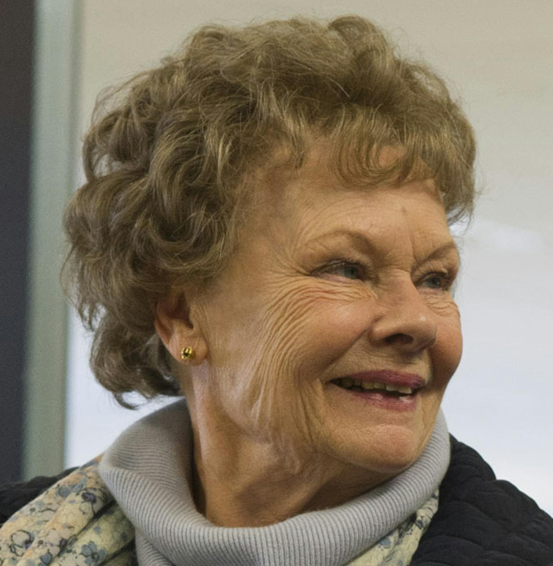 This image released by The Weinstein Company shows Judi Dench, left, and Steve Coogan in a scene from "Philomena." The film was nominated for a Golden Globe for best motion picture drama on Thursday, Dec. 12, 2013. The 71st annual Golden Globes will air on Sunday, Jan. 12. (AP Photo/The Weinstein Company, Alex Bailey)