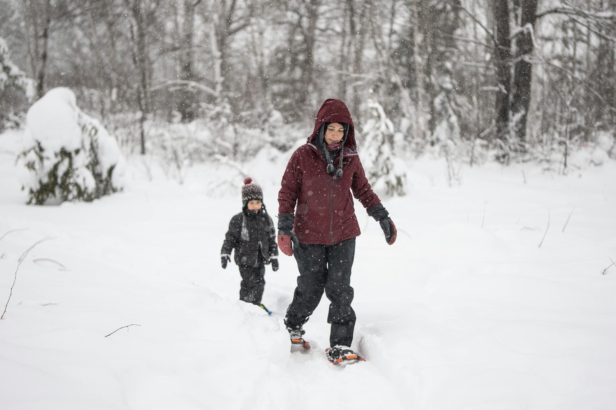 Niizhwaasangookwe Miigis Gonzalez walked with her son Gizhibaabines Morris Trimble in snowshoes as they checked on rabbit snares as part of the Ojibwe immersion program.