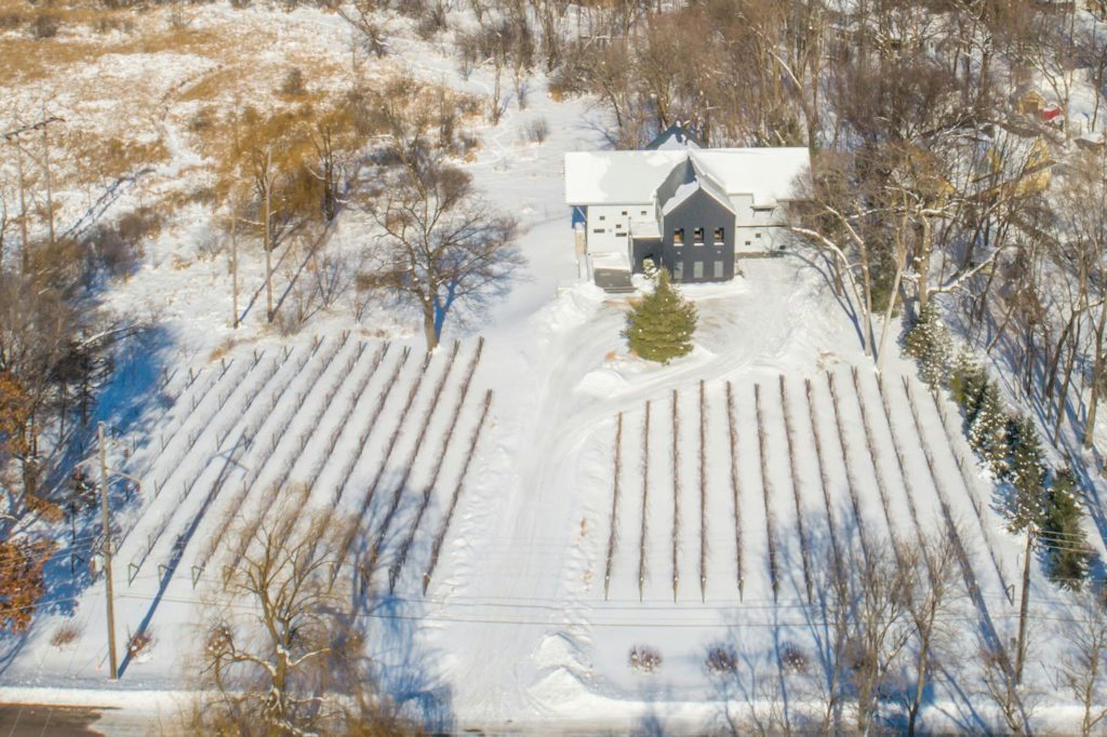 Aerial view of a modern farmhouse in Wayzata with a vineyard in the front yard.