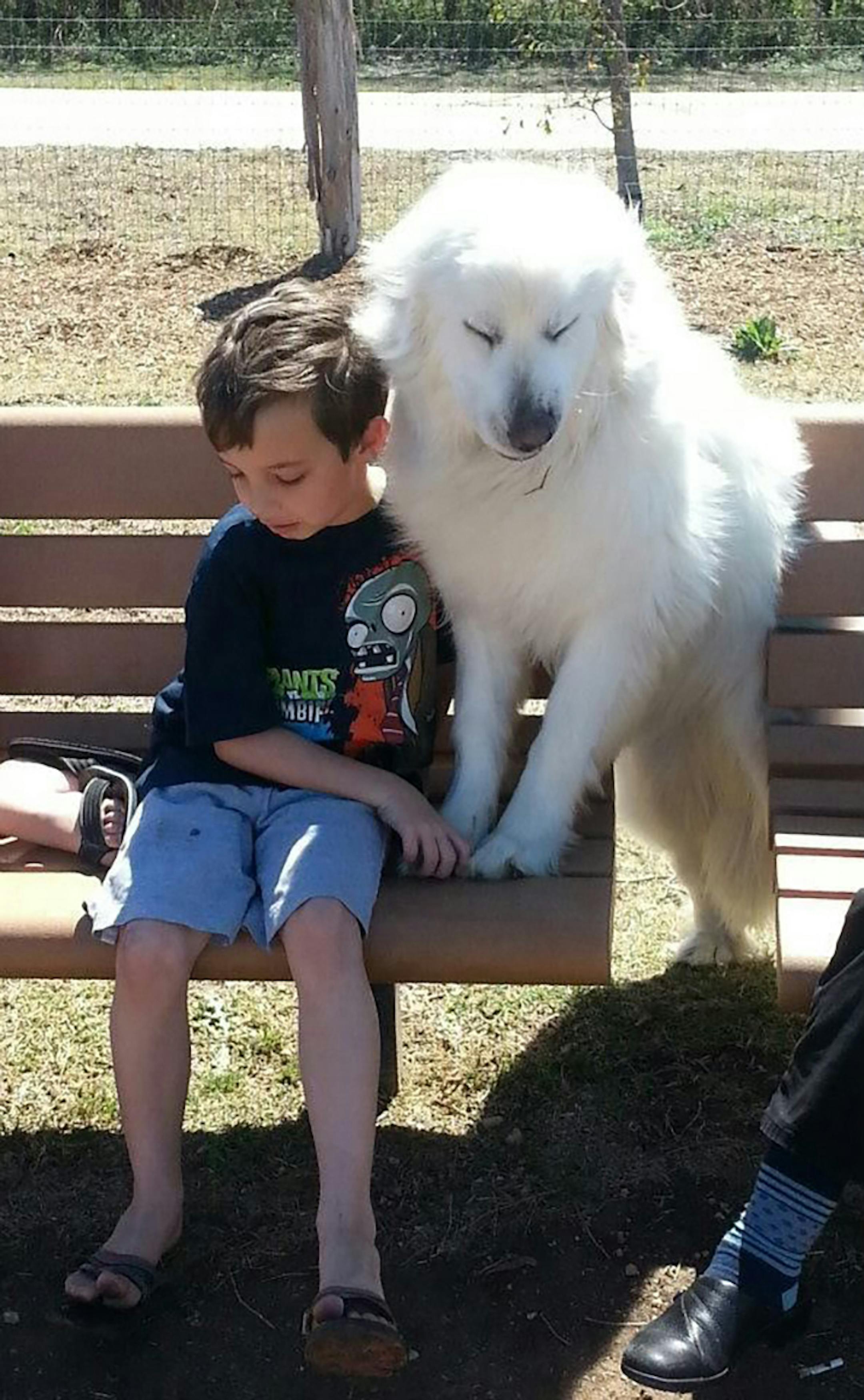 Jamie Wallace-Griner's autistic son, Jackson, then 6, with his service dog, Angel. Wallace-Griner said their special bond is what propelled her to create the sanctuary. MUST CREDIT: Safe in Austin.