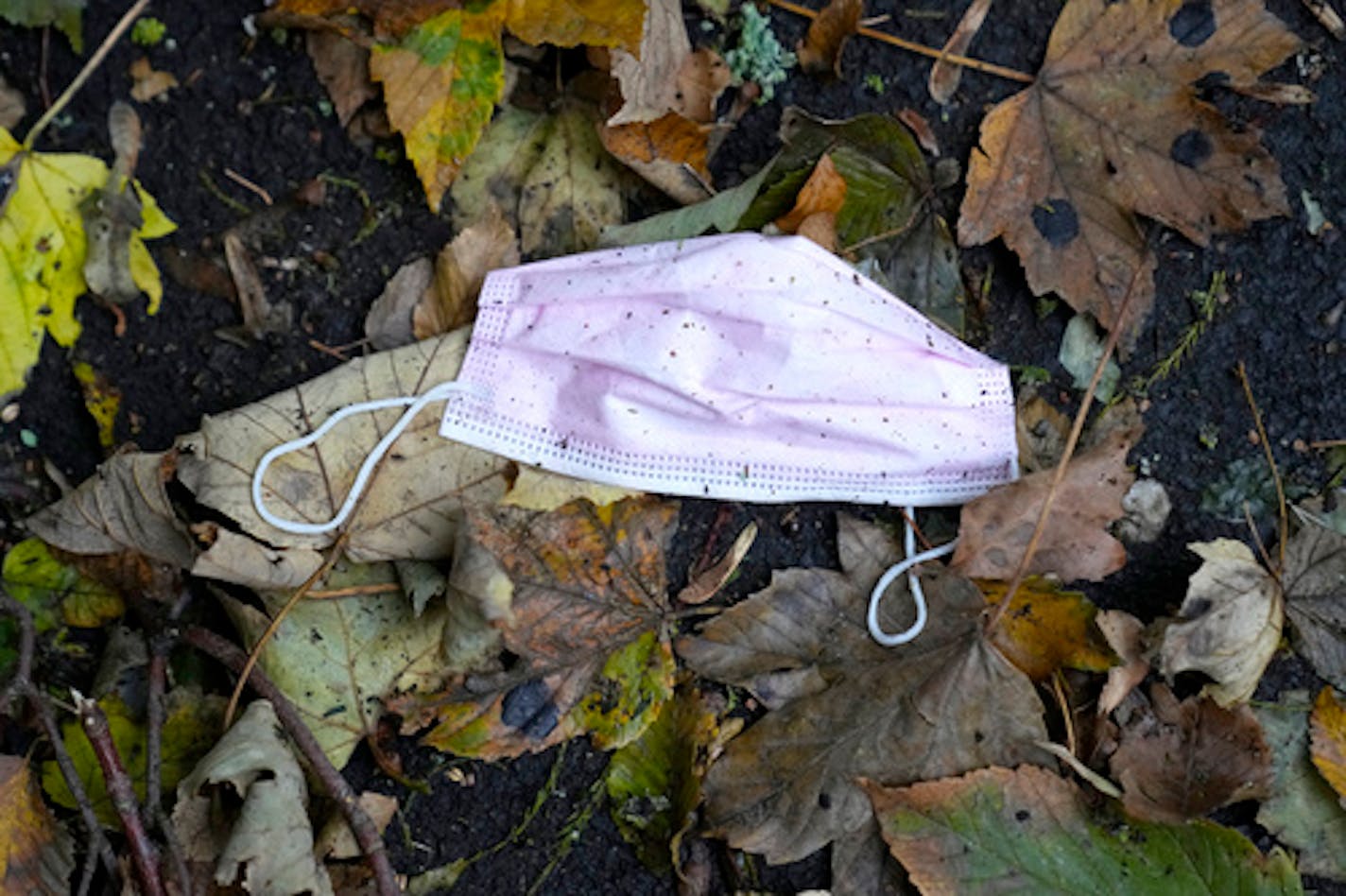 A pink mask lays on leaves Monday, Oct. 25, 2021 in Louveciennes, west of Paris. France's COVID-19 booster-shot campaign launched in September, targeting many of the same people now prioritized for free flu shots. (AP Photo/Michel Euler)