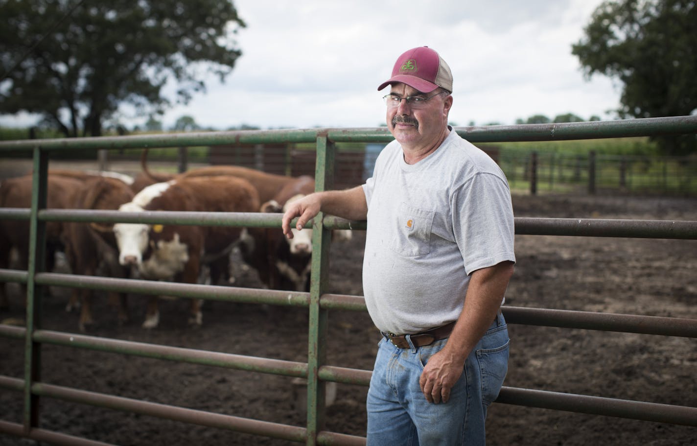 Bob Wilts, on his Big Lake beef farm last week, voiced concern about imported beef from places that have a history of foot-and-mouth disease.