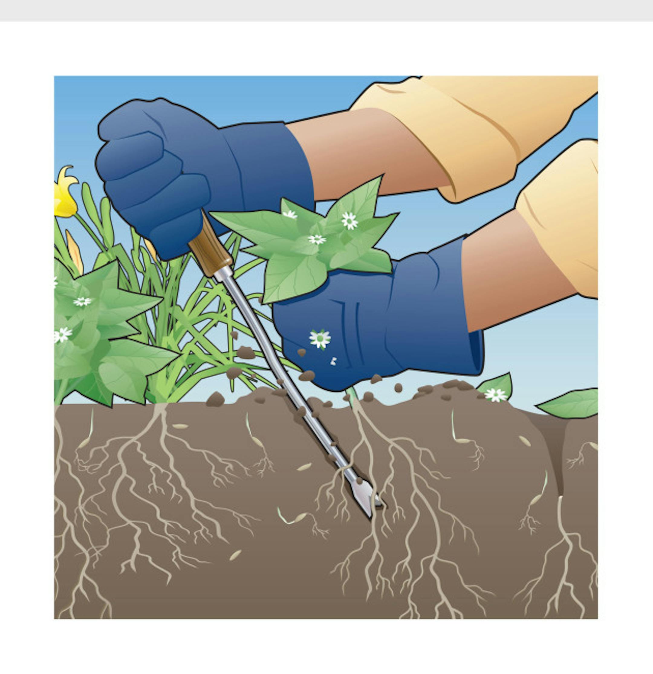 Weeds are unwelcome thugs in the garden. They compete with the plants you care about for nourishment, moisture and space. Even worse, if you don't deal with them, they can take over a garden. Different weeds sprout and grow at different times of the growing season. Instead of constantly weeding, why not stop weed seeds before they grow? Lay down a layer of mulch plus Preen garden weed preventer. Preen stops seeds from sprouting for up to three to four months, including those seeds already in garden soil or mulch plus those carried in by the wind, birds or animals. Whatever you do, don't let existing weeds go to seed. Just one chickweed plant can produce up to 15,000 seeds each year!  www.preen.com.  (PRNewsFoto/Preen)