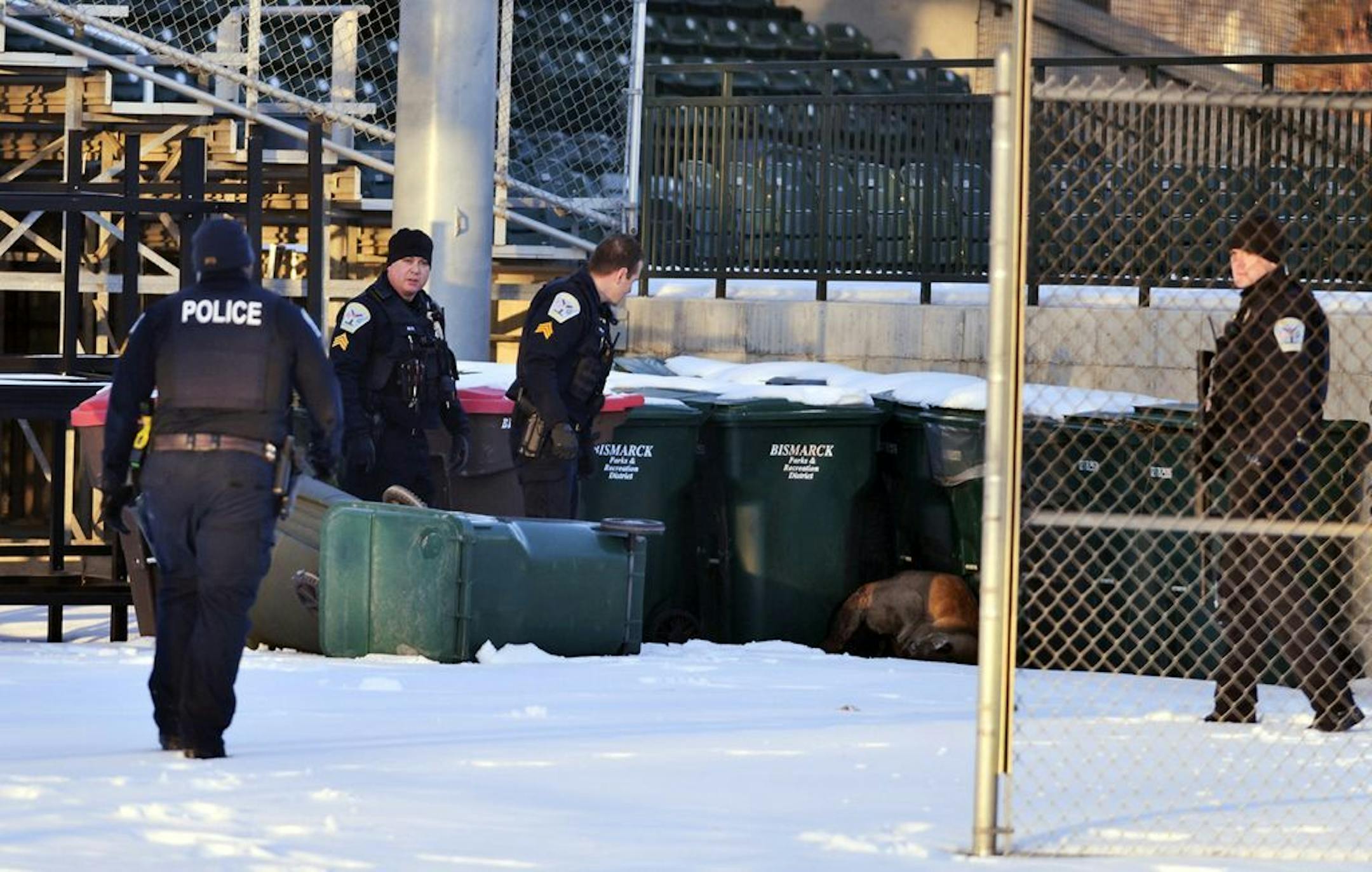 Local law enforcement look over a mountain lion that was shot and killed Tuesday morning, Jan. 8, 2019, at the Bismarck Municipal Ballpark in Bismarck, N.D. A Game and Fish officer shot and killed the animal to ensure public safety.
