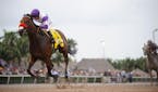 Nyquist won the Florida Derby.
