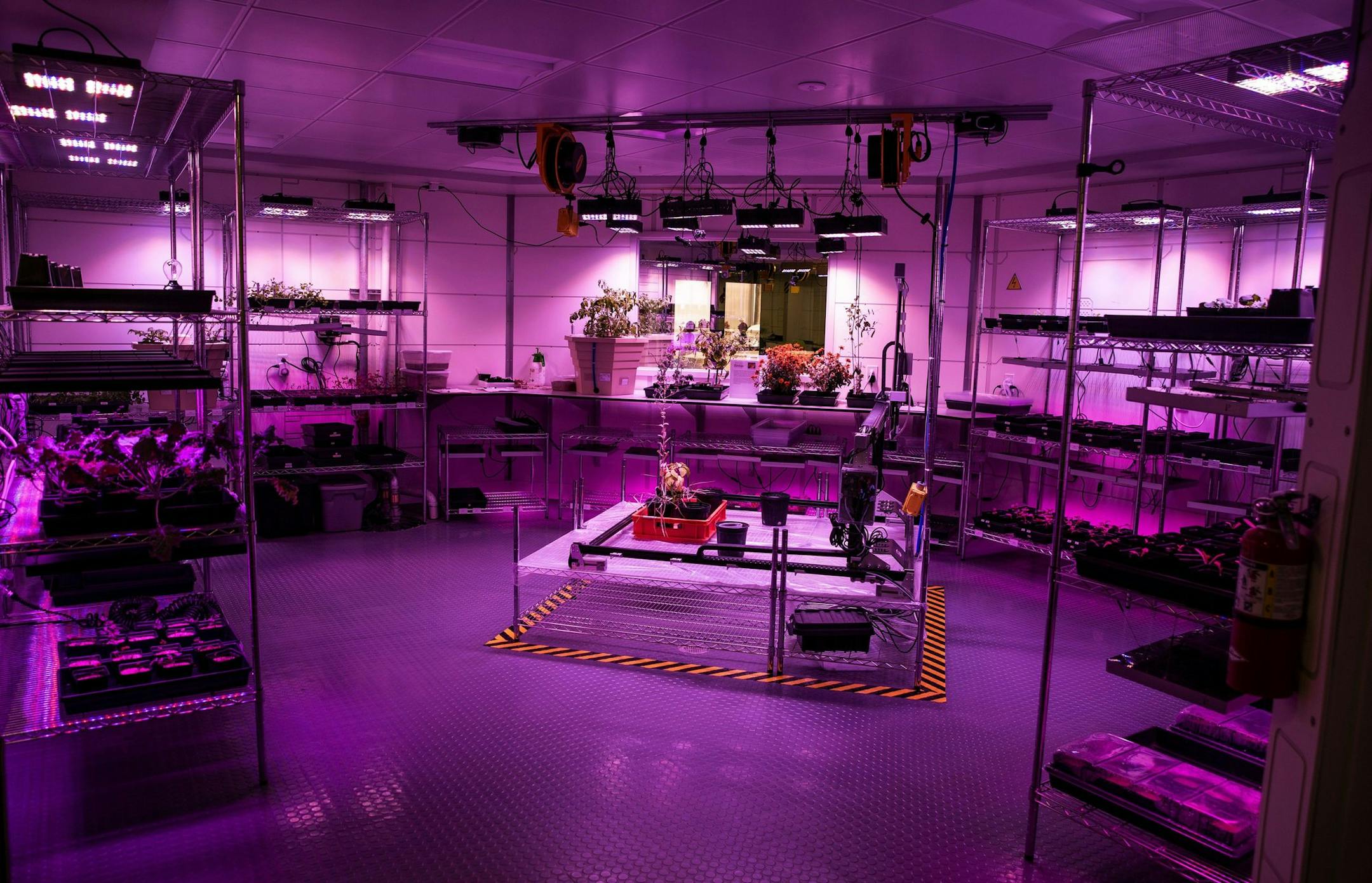 Plants grow inside of Mars Base 1 at Kennedy Space Center on March 13, 2019. (Patrick Connolly/Orlando Sentinel/TNS)