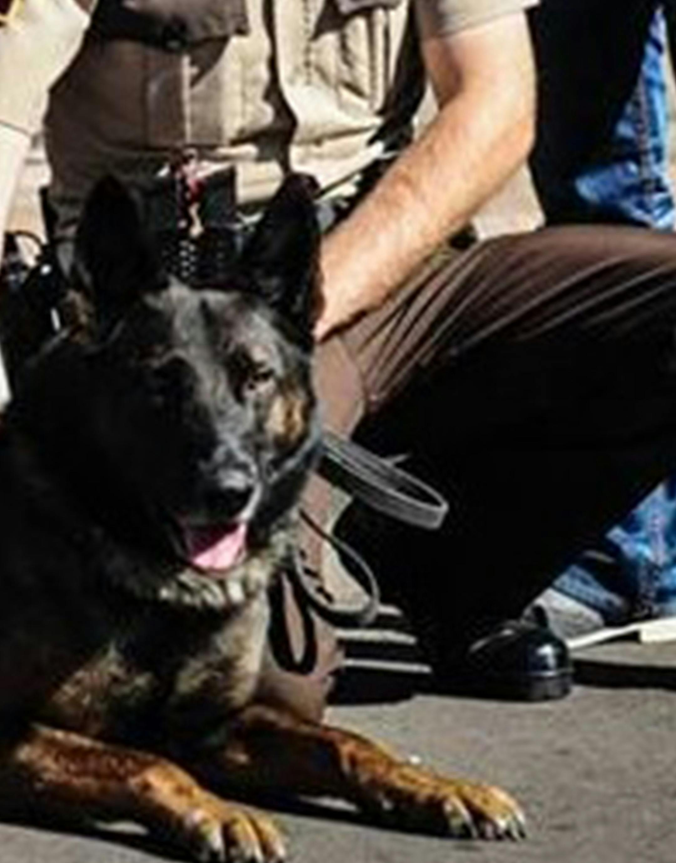 ORG XMIT: UPj_iunYhunUTodht0VB