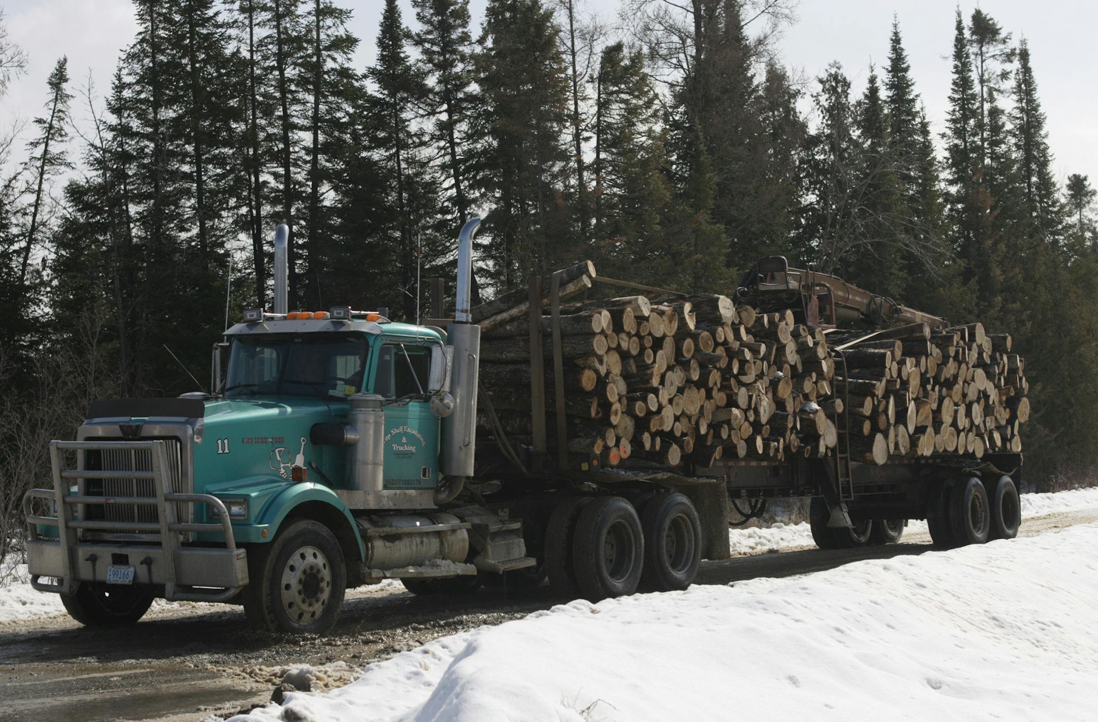 **ADVANCE FOR MONDAY, MARCH 20**A truck leaves the Chippewa National Forest, in Cass County, Minn., with a load of logs on Wednesday, March 8, 2006. Mark Johnson of the Minnesota Deer Hunters Association says that clearings formerly opened up by natural processes such as forest fire now need to be created by judicious forest management to maintain the health of the woods and to help regenerate bird and animal habitat and populations. (AP Photo/Julia Cheng) ORG XMIT: MNJC105