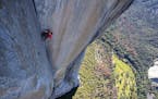 Alex Honnold climbs through the enduro corner on El Capitan's Freerider. (Jimmy Chin/National Geographic/TNS) ORG XMIT: 1241531