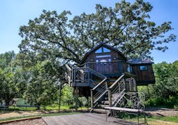 The four-level suite was completed on July 14, 2016, is built around the structure of a 150 burr oak tree and uses over a dozen different species of w