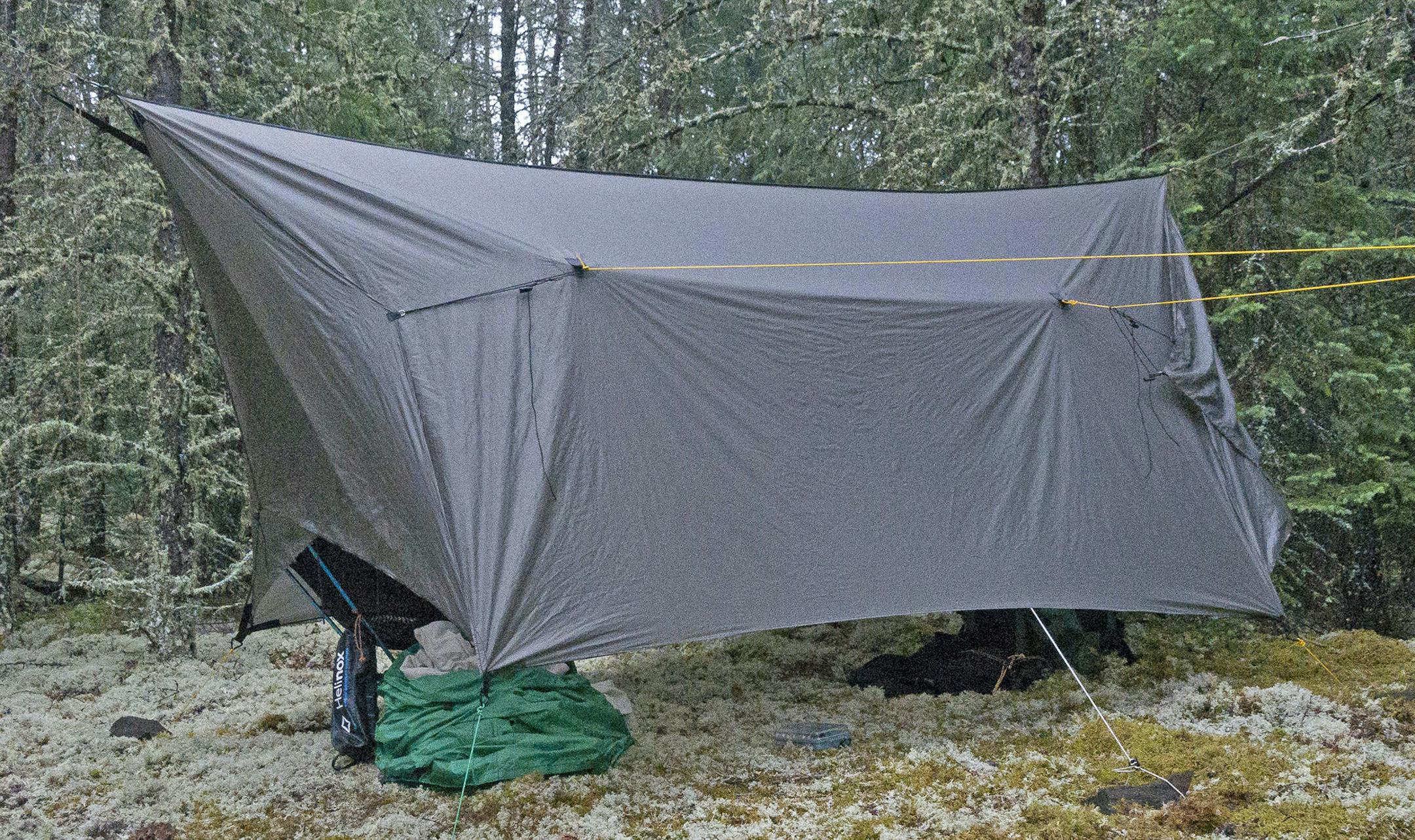 Nearly 300 miles north of the BWCA, Woodland Caribou Provincial Park features few tall red and white pines, as in the boundary waters. Instead, jack pine dominates.
