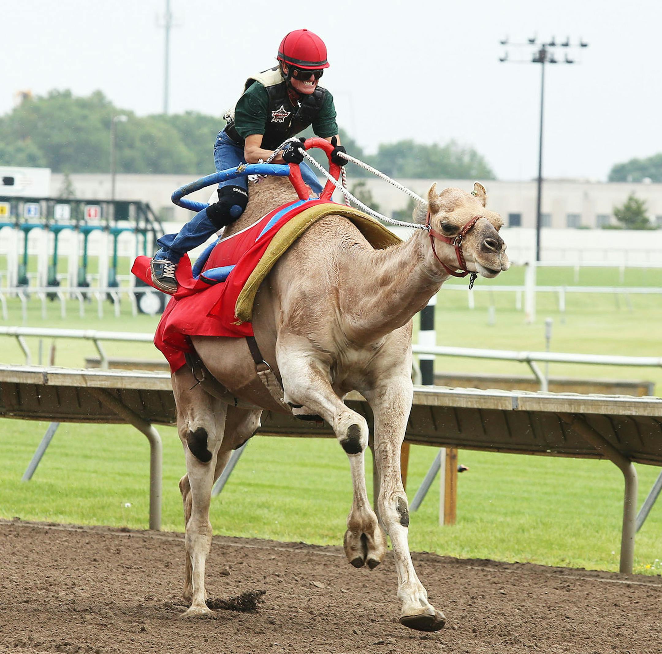 Extreme Race Day at Canterbury Park. Photo from Canterbury Park