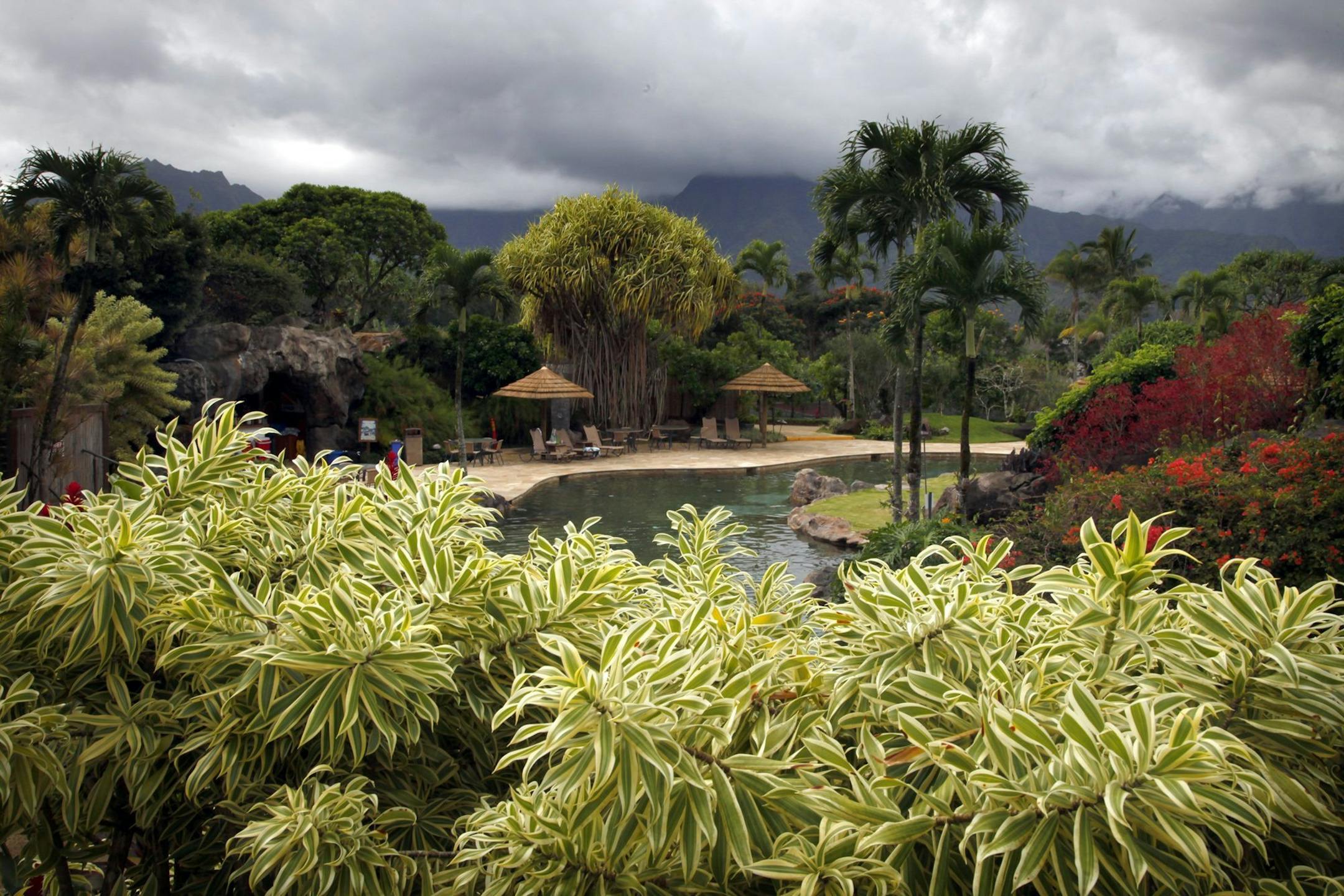 A lush tropical landscape envelops the Hanalei Bay Resort, next to the half-moon-shaped Hanalei Bay on Kauai's North Shore, on March 1, 2014. (Mark Boster/Los Angeles Times/MCT) ORG XMIT: 1152360