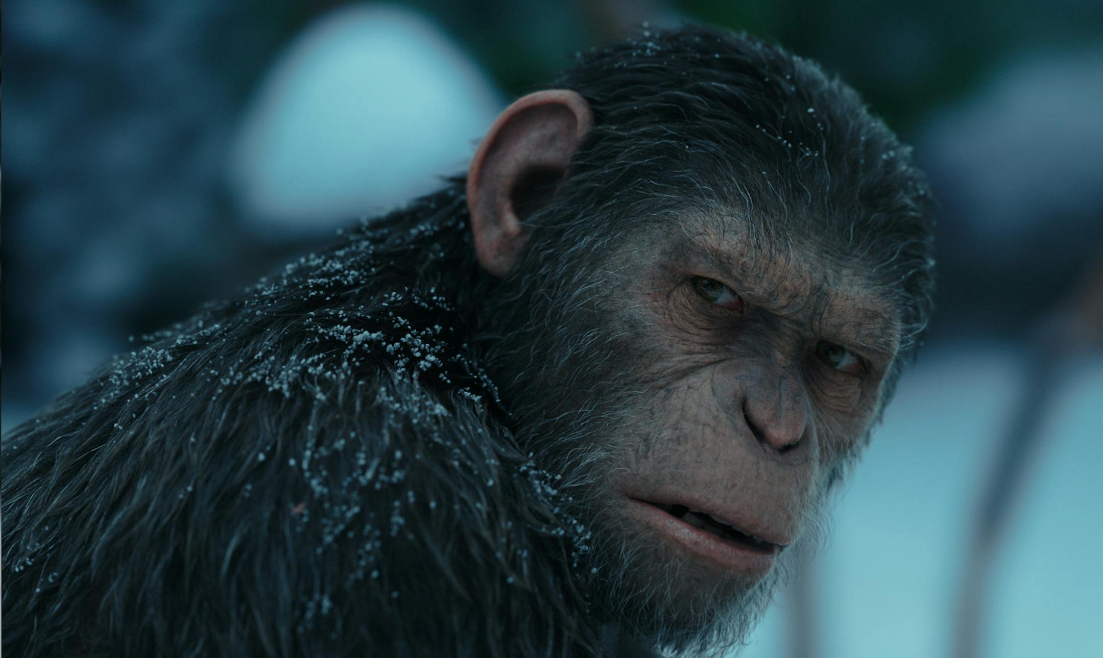 Andy Serkis on the set of Twentieth Century Fox's "War for the Planet of the Apes."
credit: 20th Century Fox