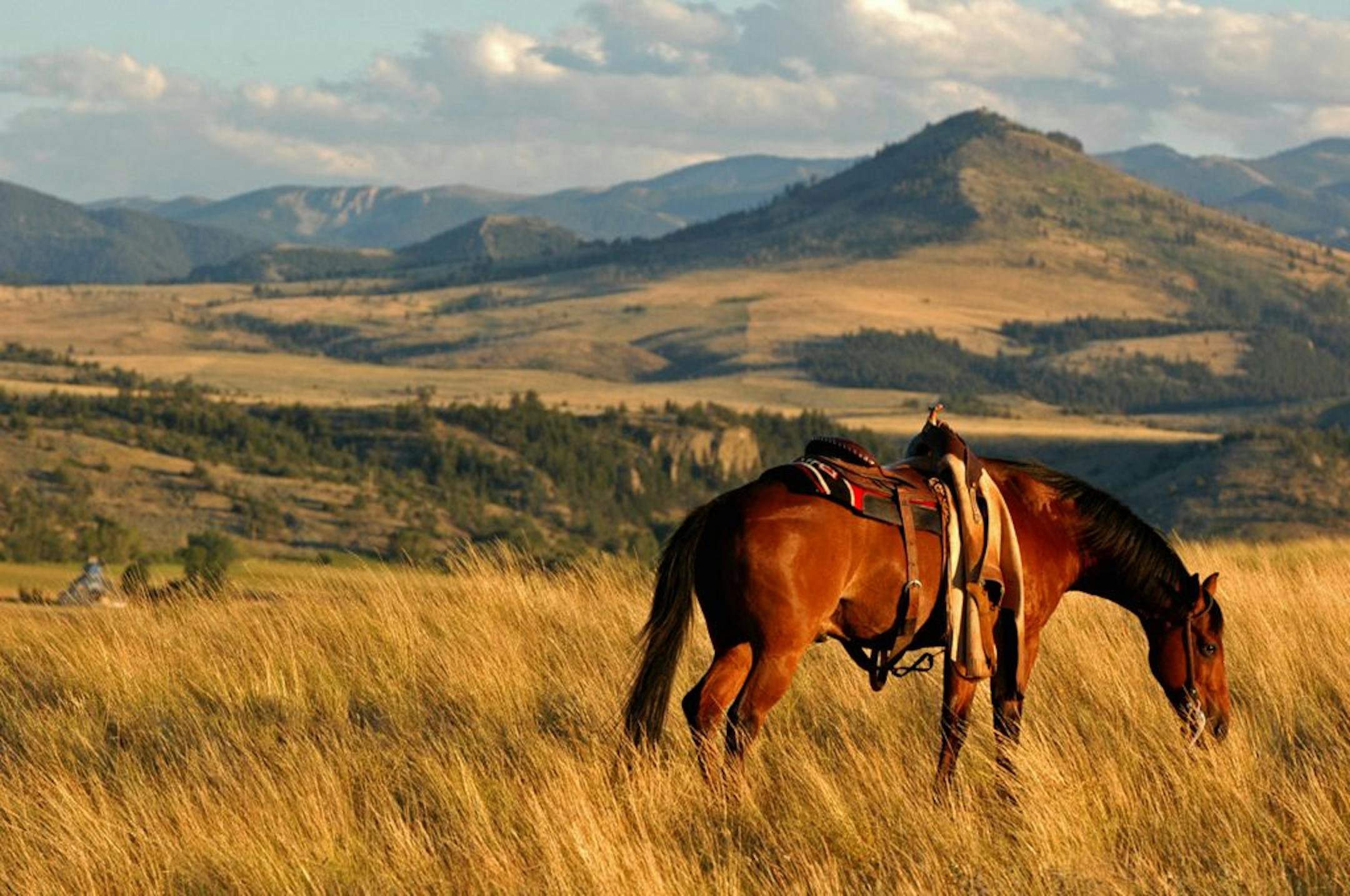 Horses grazing, big skies and trout fishing are all beckoning visitors to Montana.