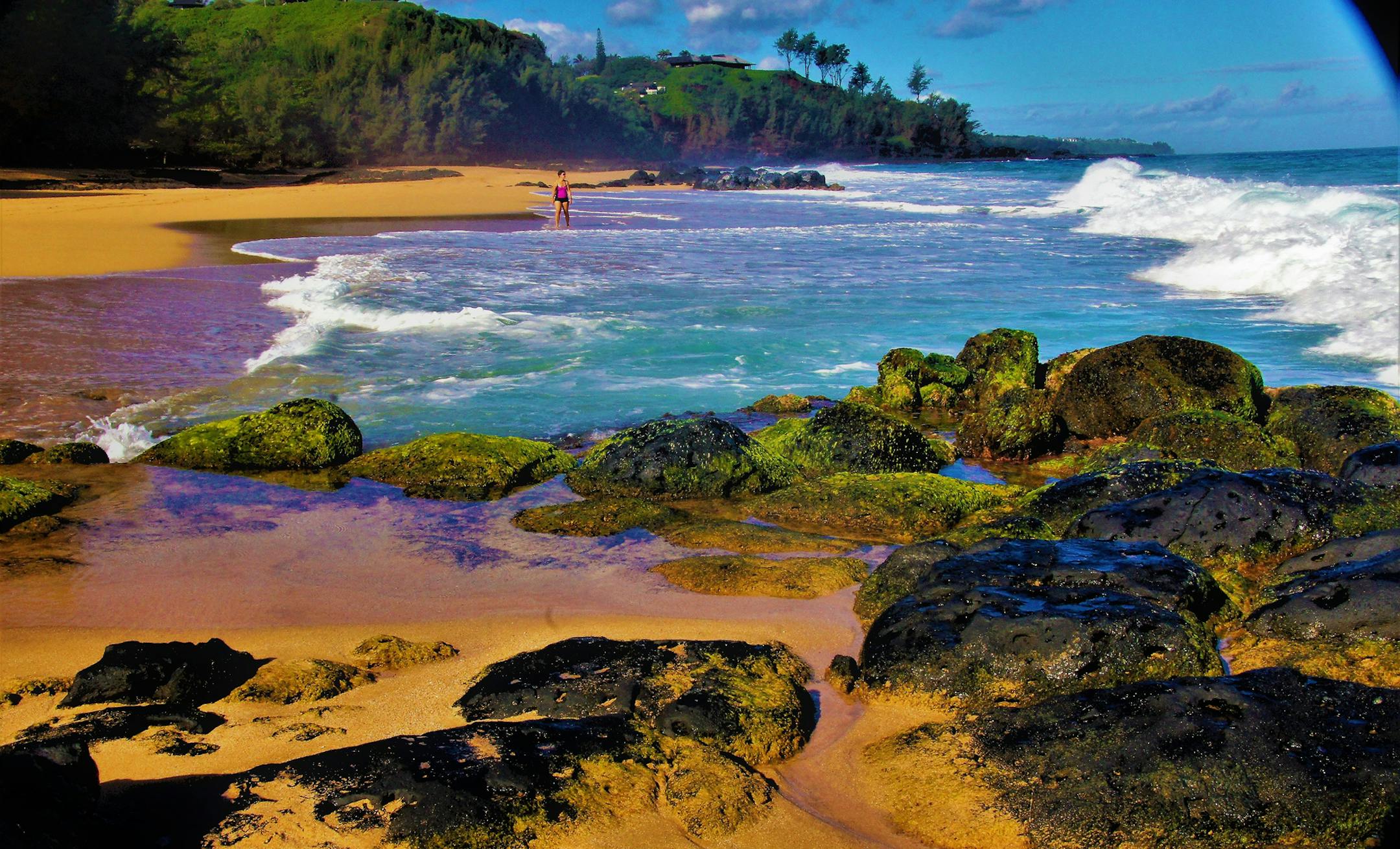 Jeff Farrington of Circle Pines was on the north shore -- of Kauai -- in late February. This photo is of Secret Beach. [focus032617