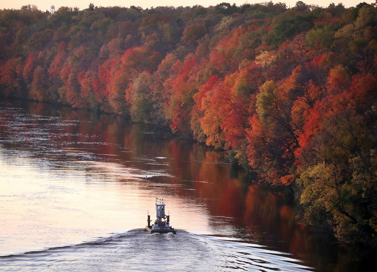 The fall colors along the Mississippi River are near peak as a small tug boat heads up river, seen from the Franklin Ave. Bridge Tuesday, Oct. 17, 2017, Minneapolis, MN.] DAVID JOLES &#xef; david.joles@startribune.com Warm October weather and peak fall colors.