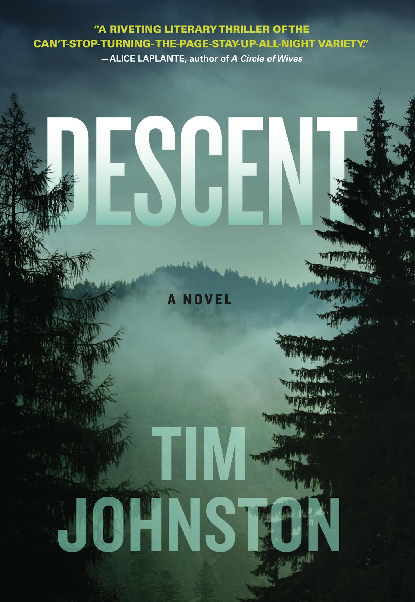 "Descent," by Tim Johnston