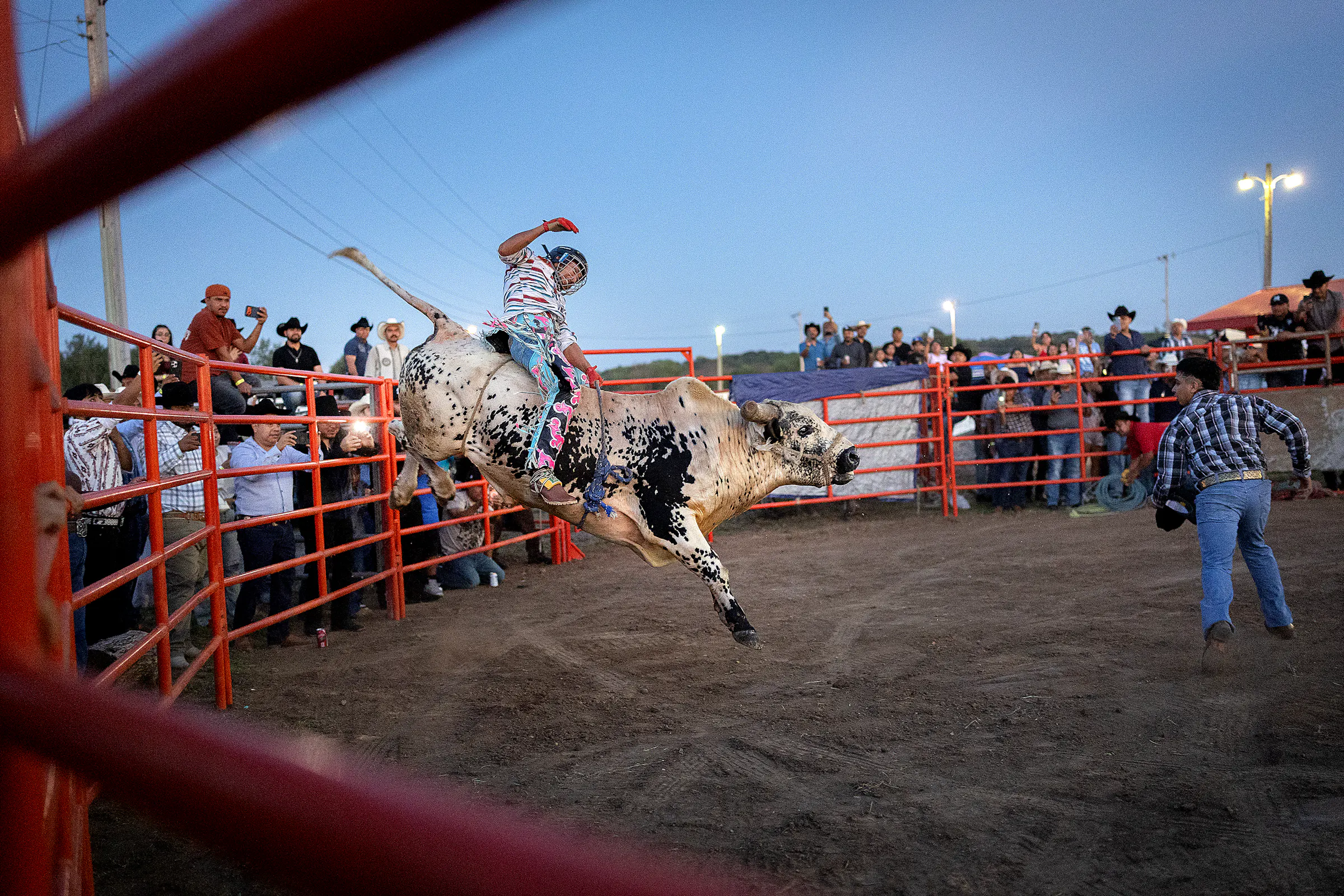 See bull riders at a rodeo kicking off a Minnesota celebration of ...