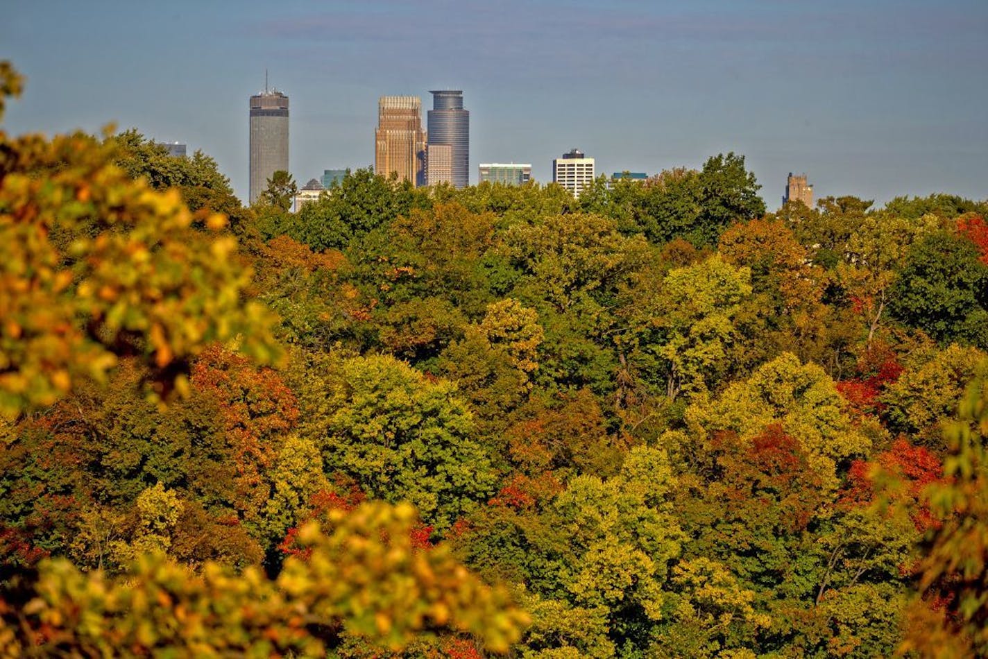 Morning sunlight intensifies the view of the Fall foliage from Summit Avenue and Mississippi River Blved., Tuesday, October 8, 2019 in St Paul, MN.