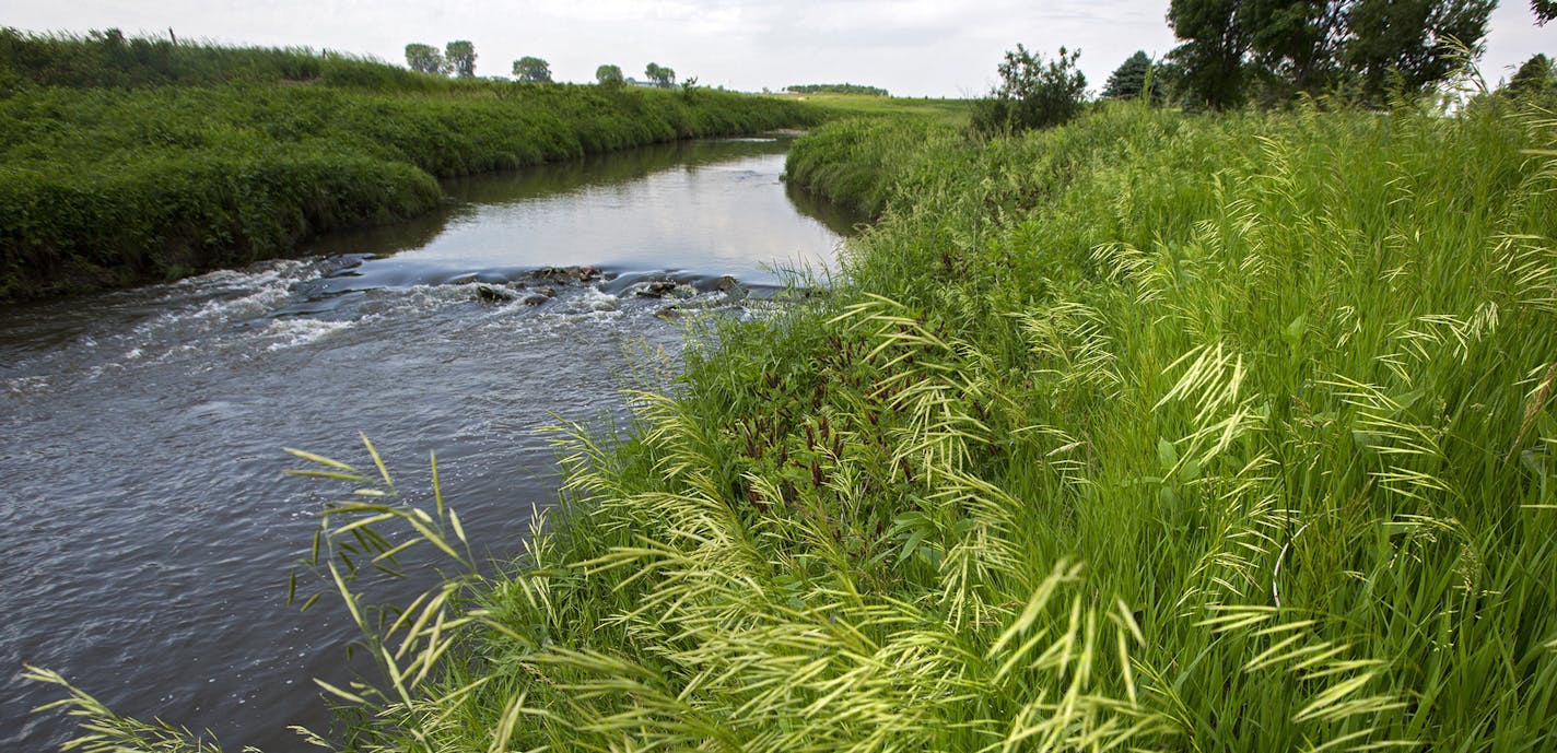 A buffer strip of grass and trees along the Rock River west of Edgerton is a good example of the protective strips that help filter runoff. ] In the small town of Edgerton where a shallow aquifer readily absorbs leaching farm chemicals, residents pay extra every month for special treatment to make their water safe to drink. The nitrate-removal system -- now woven into the infrastructure of this heavily Dutch settlement - reflects the dilemma that a number of communities are having across Minneso